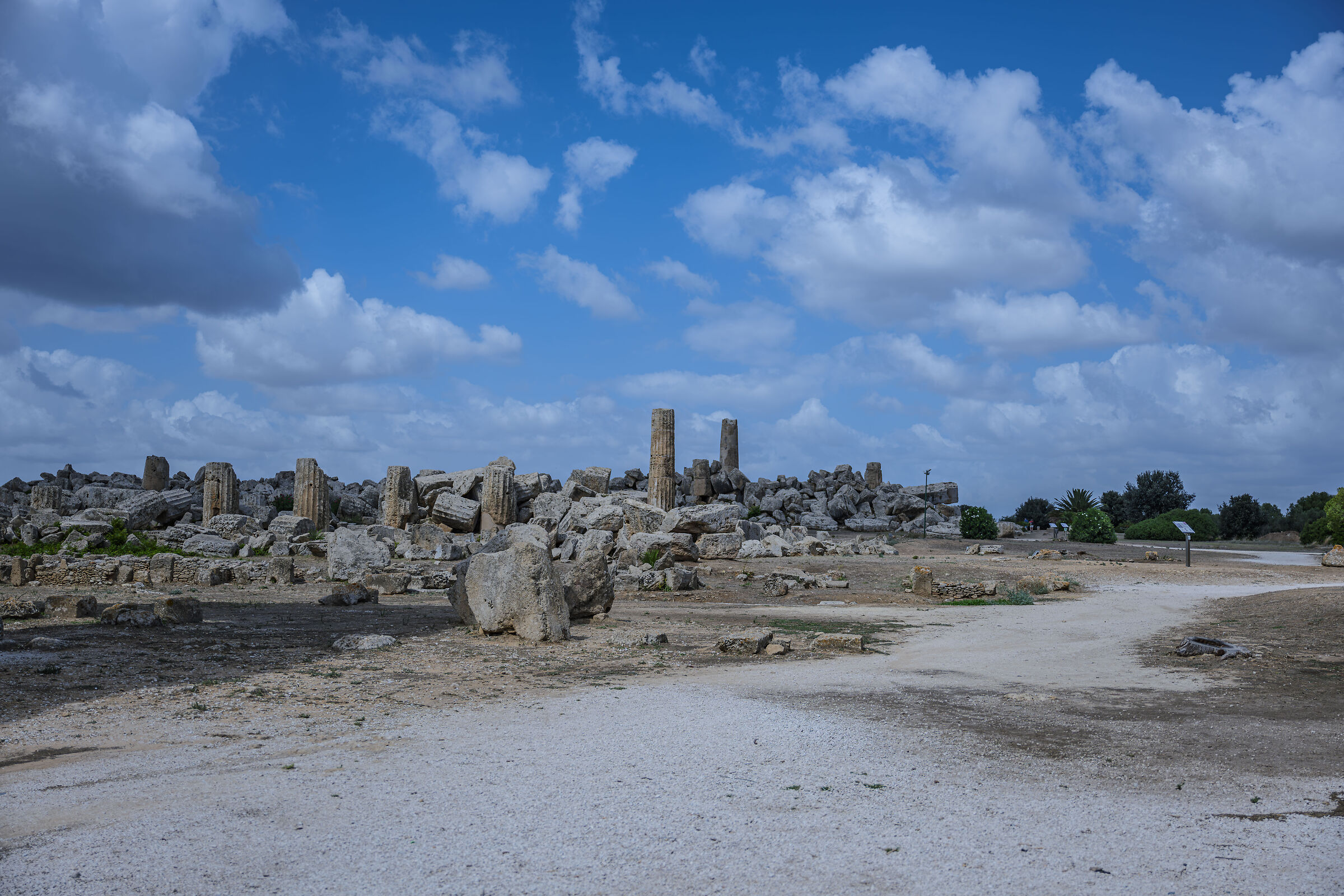 rovine di Selinunte