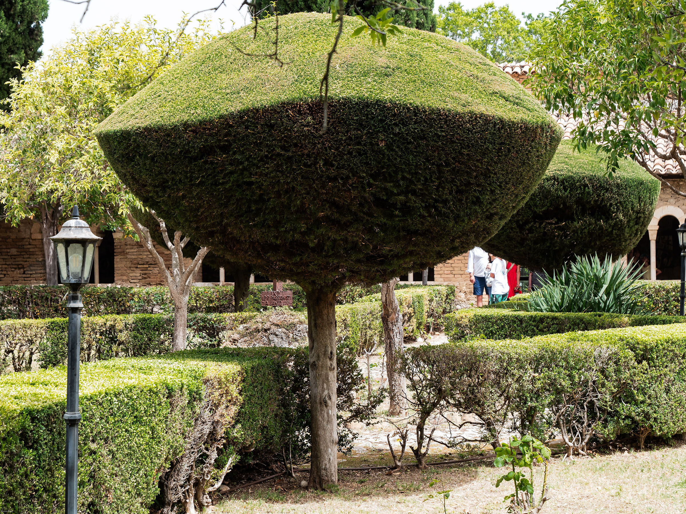 Costa dei Trabocchi - Abbazia S.Giovanni in Venere
