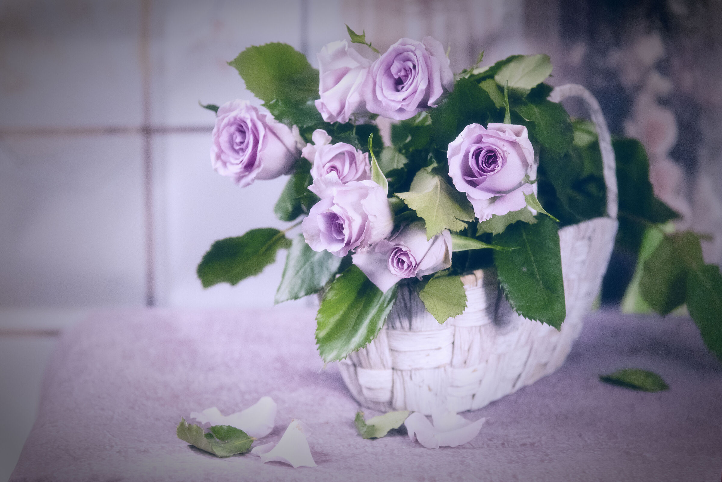 Untitled Photo