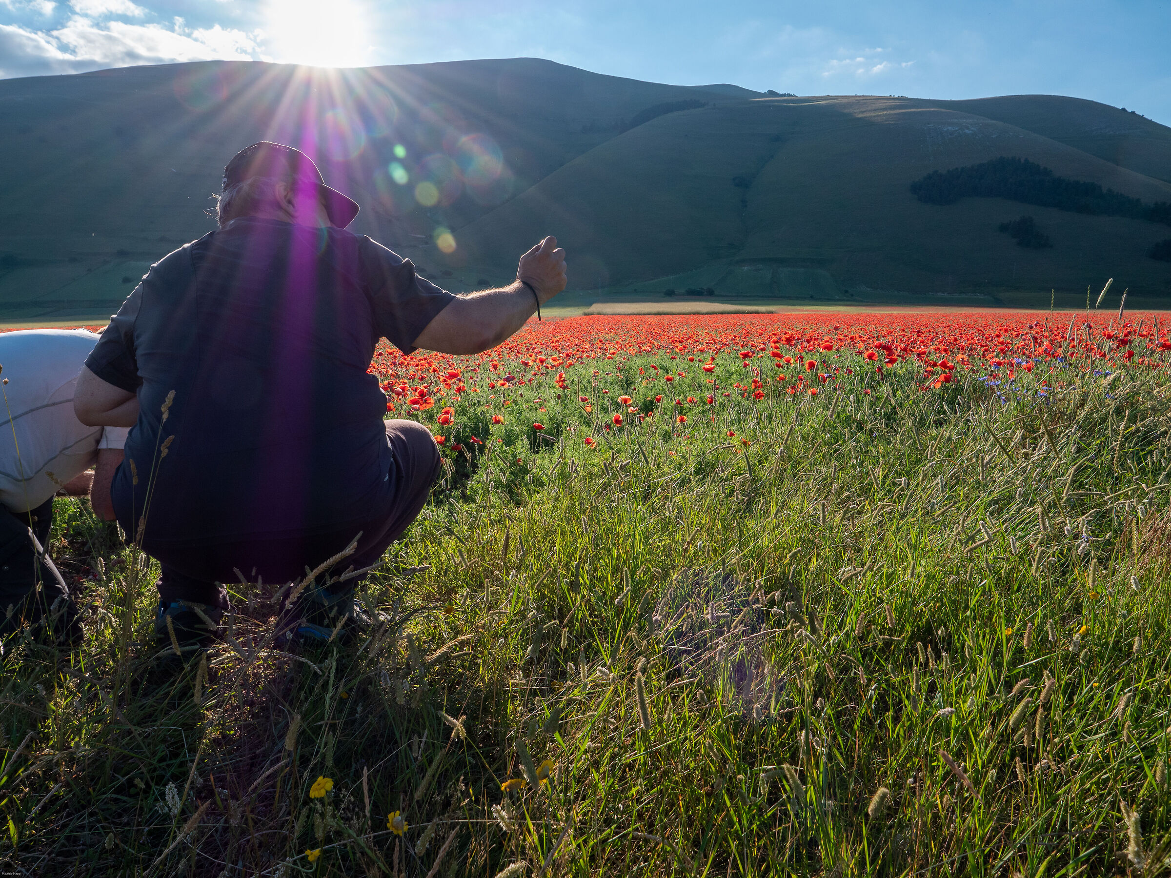 Castelluccio di Norcia - fioritura delle lenticchie