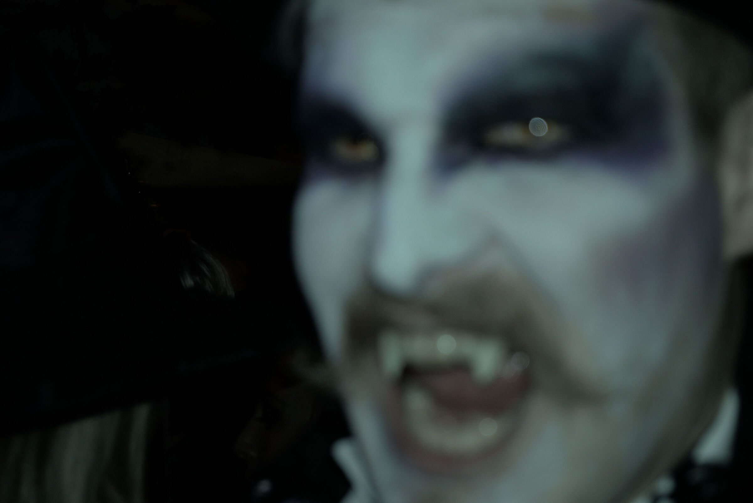 Canines