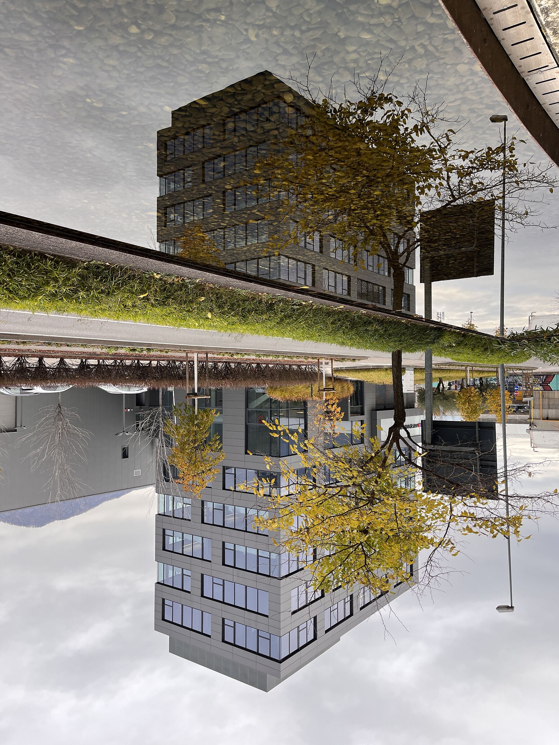 Upsidedown 24