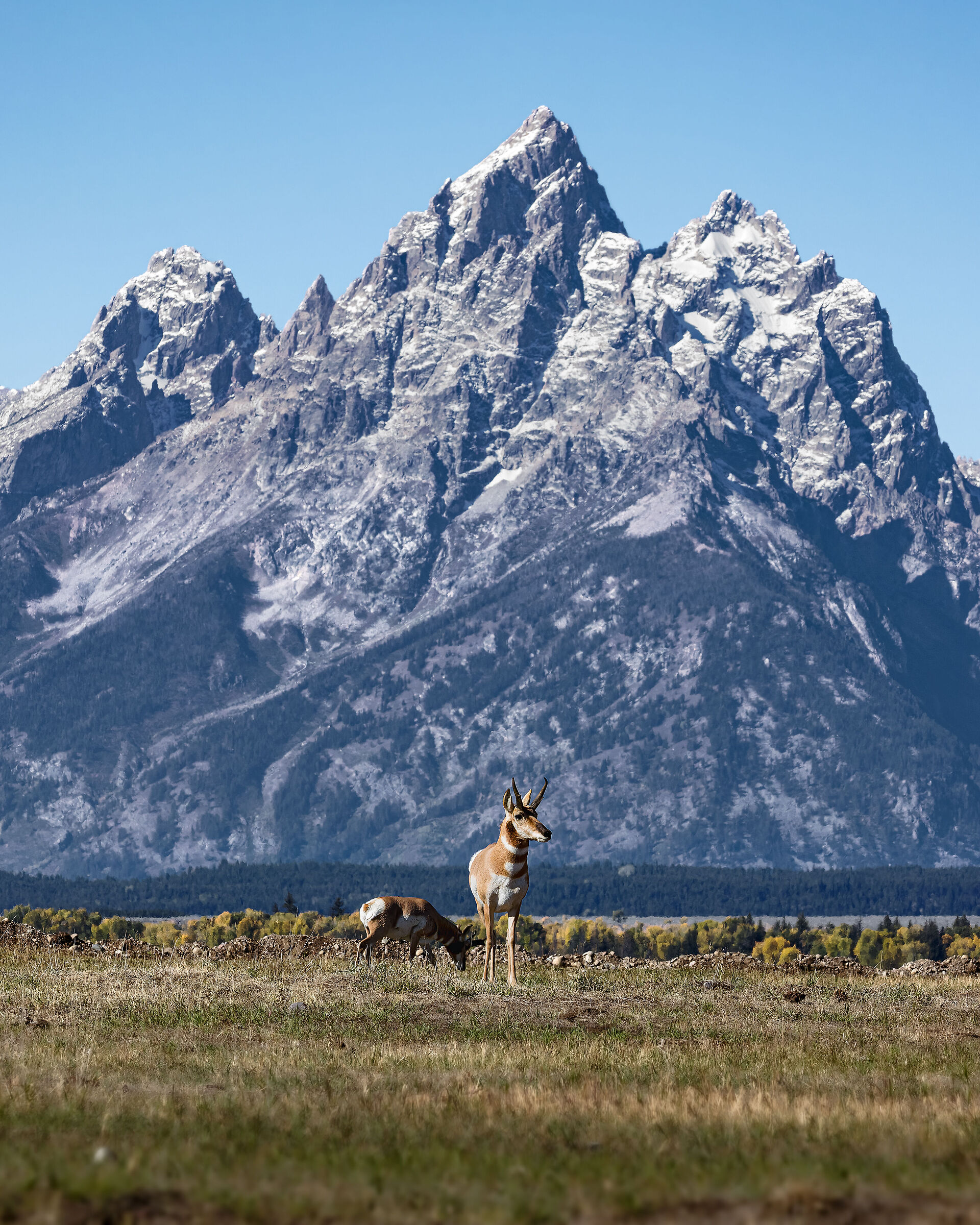 Al cospetto del Teton