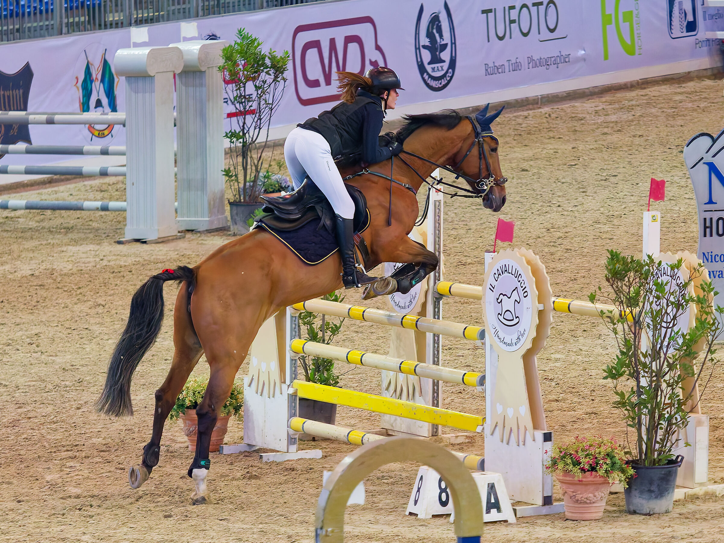 Gara Indoor Invernale