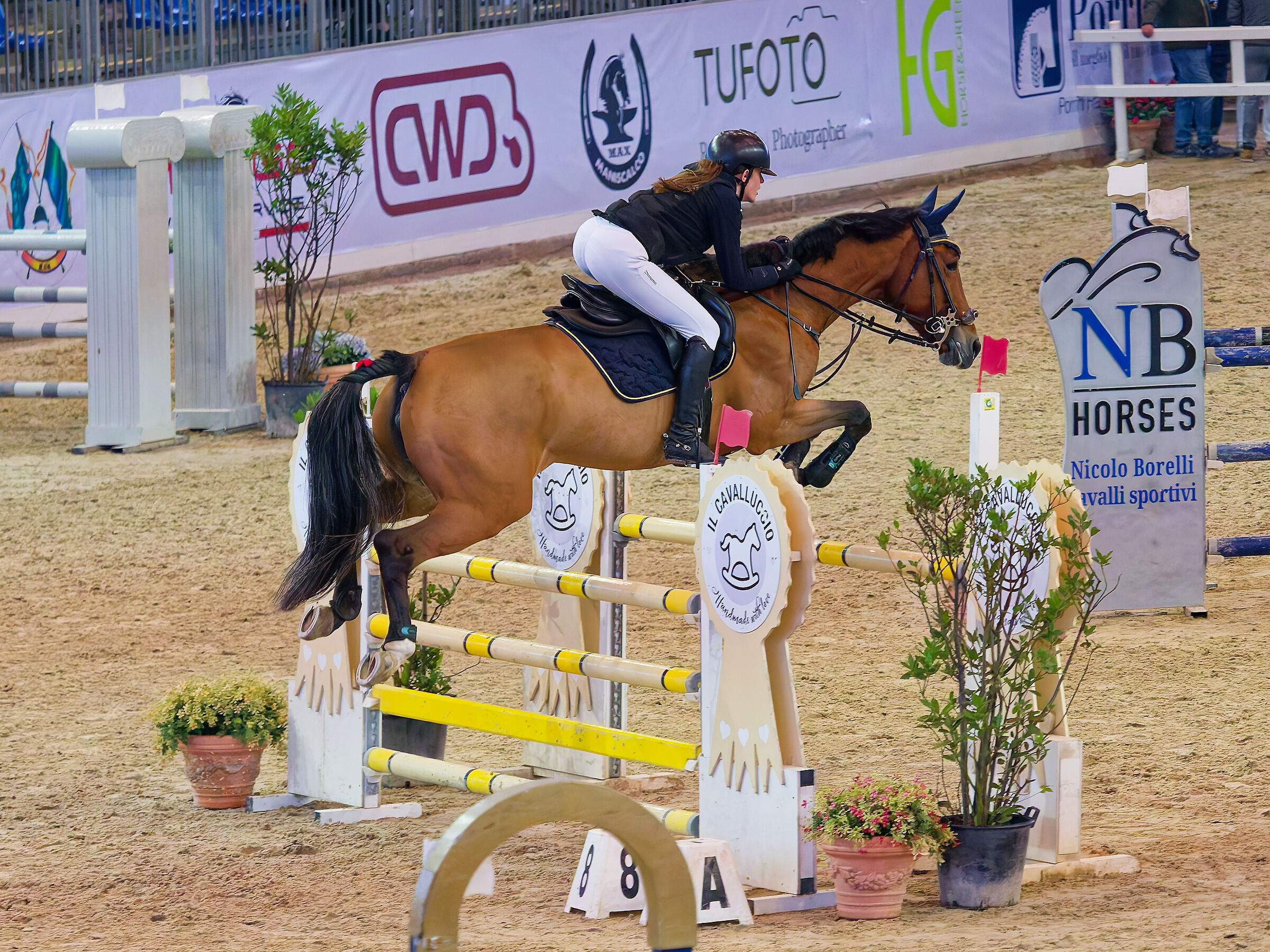 Gara Indoor Invernale