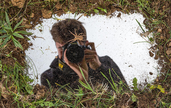 Foto