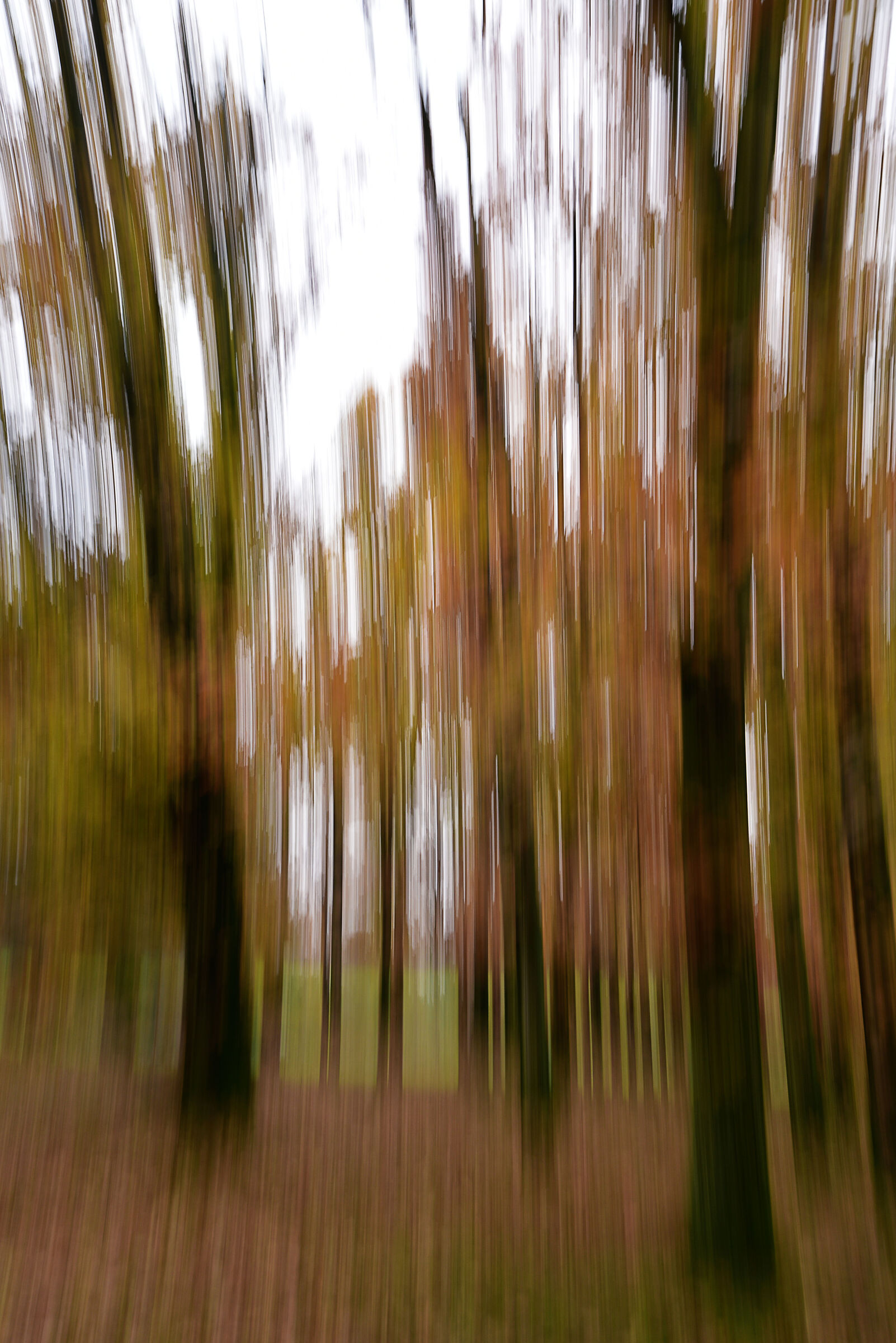 mosso di autunno