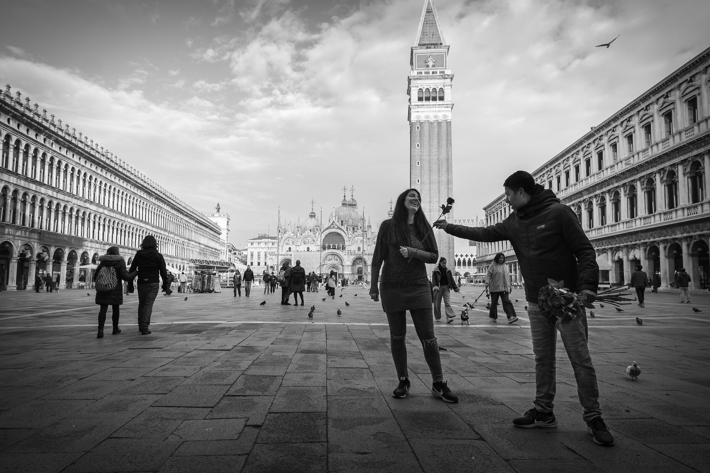 Venezia - Piazza San Marco - Il venditore di rose