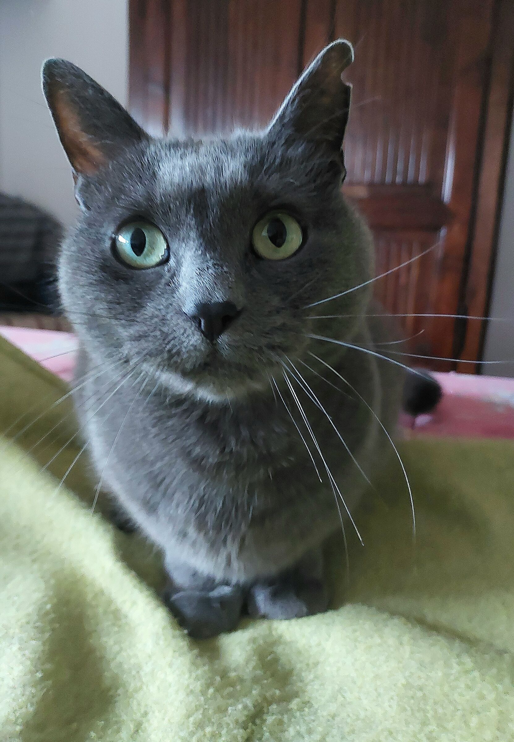 Arthur
