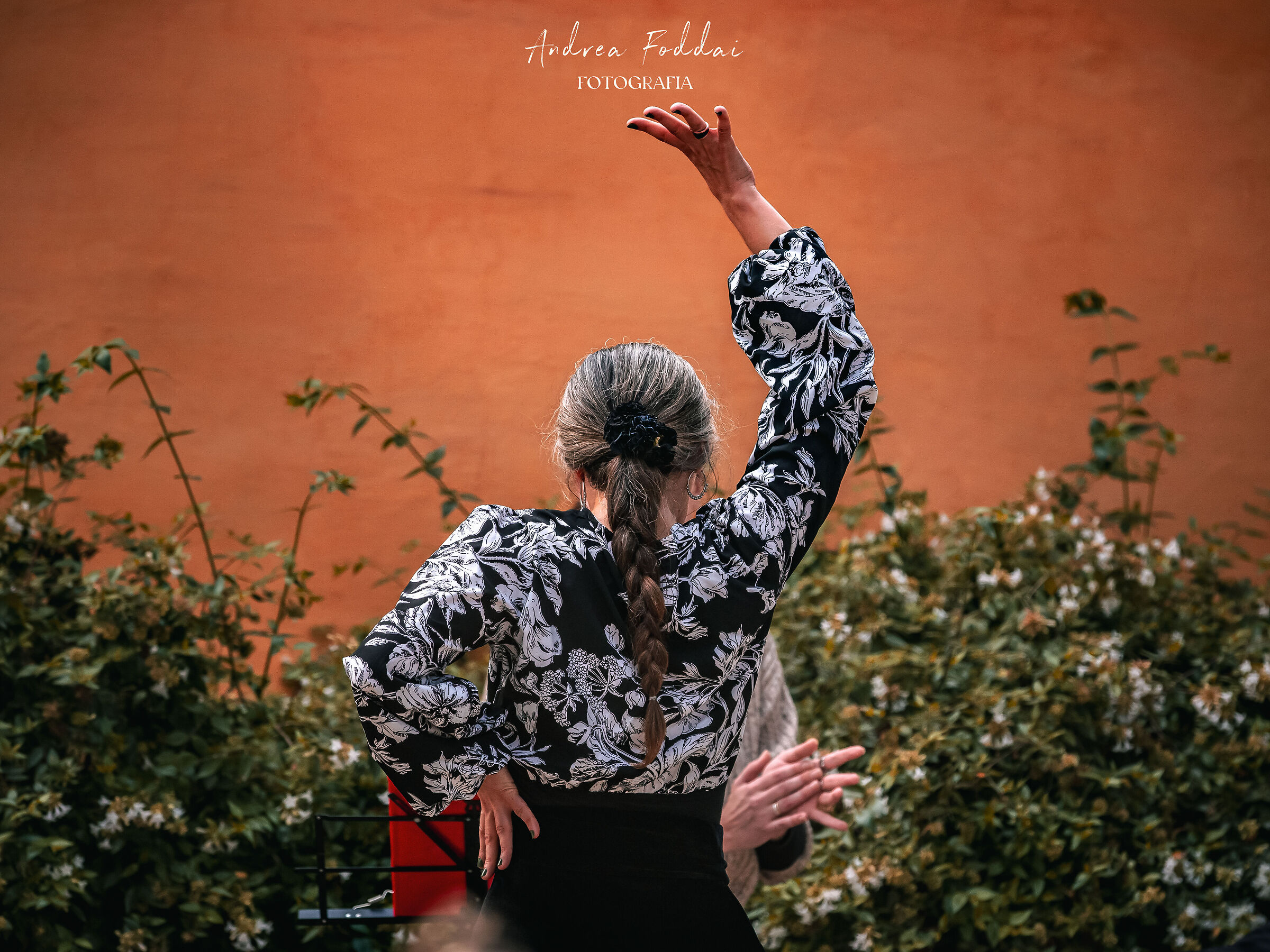 Flamenco nei giardini del Real Alcazar