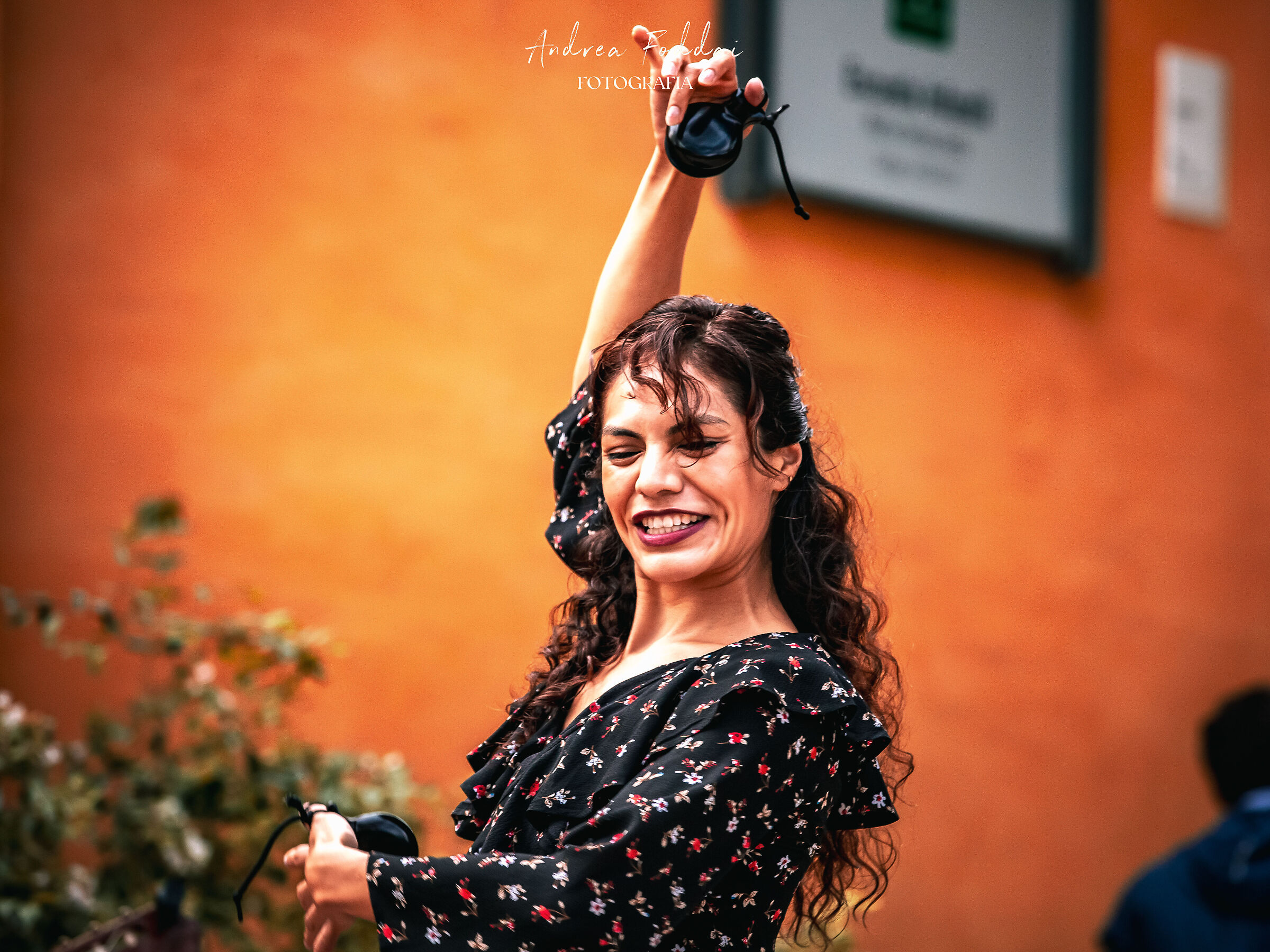 Flamenco nei giardini del Real Alcazar