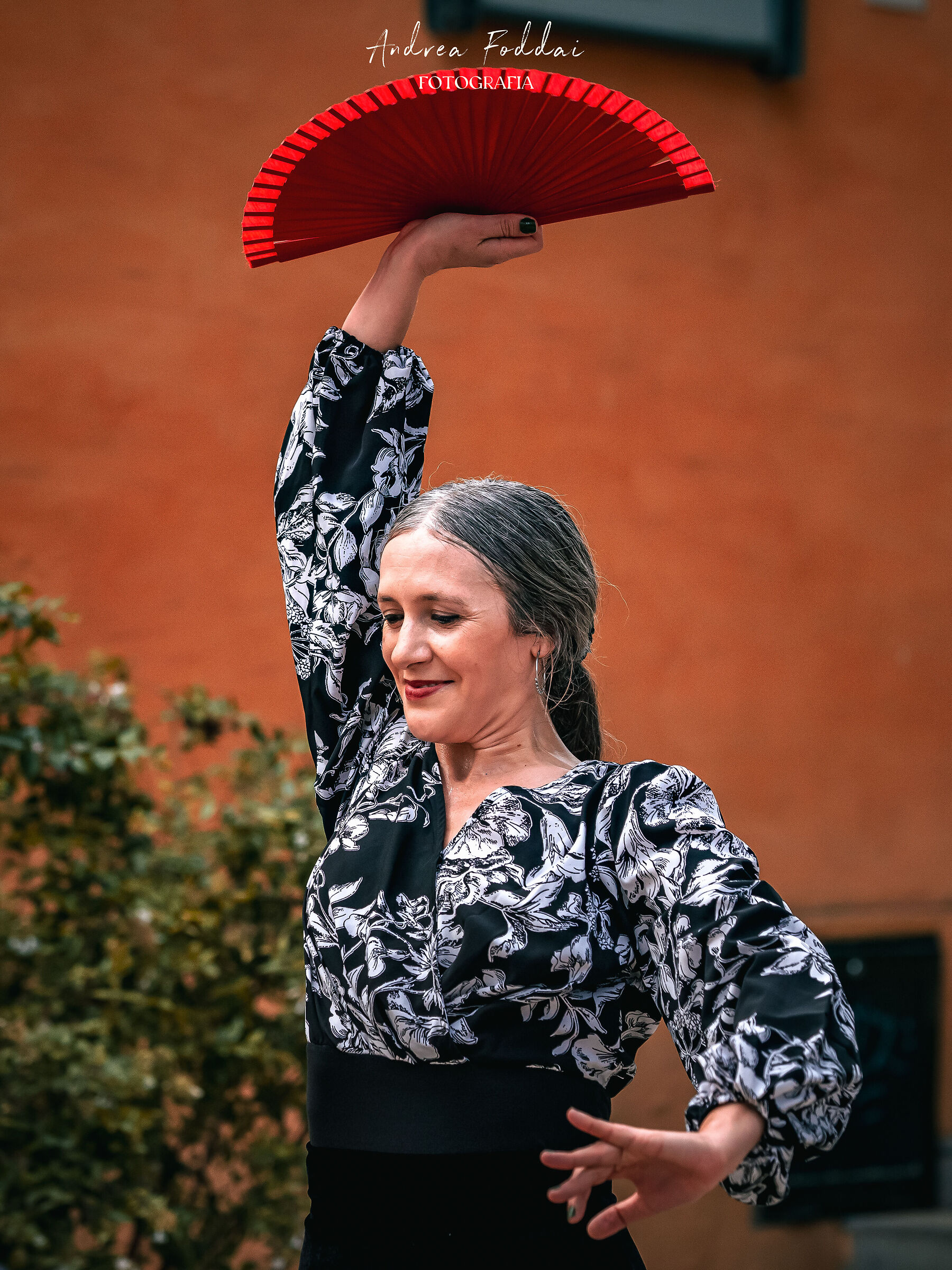 Flamenco nei giardini del Real Alcazar