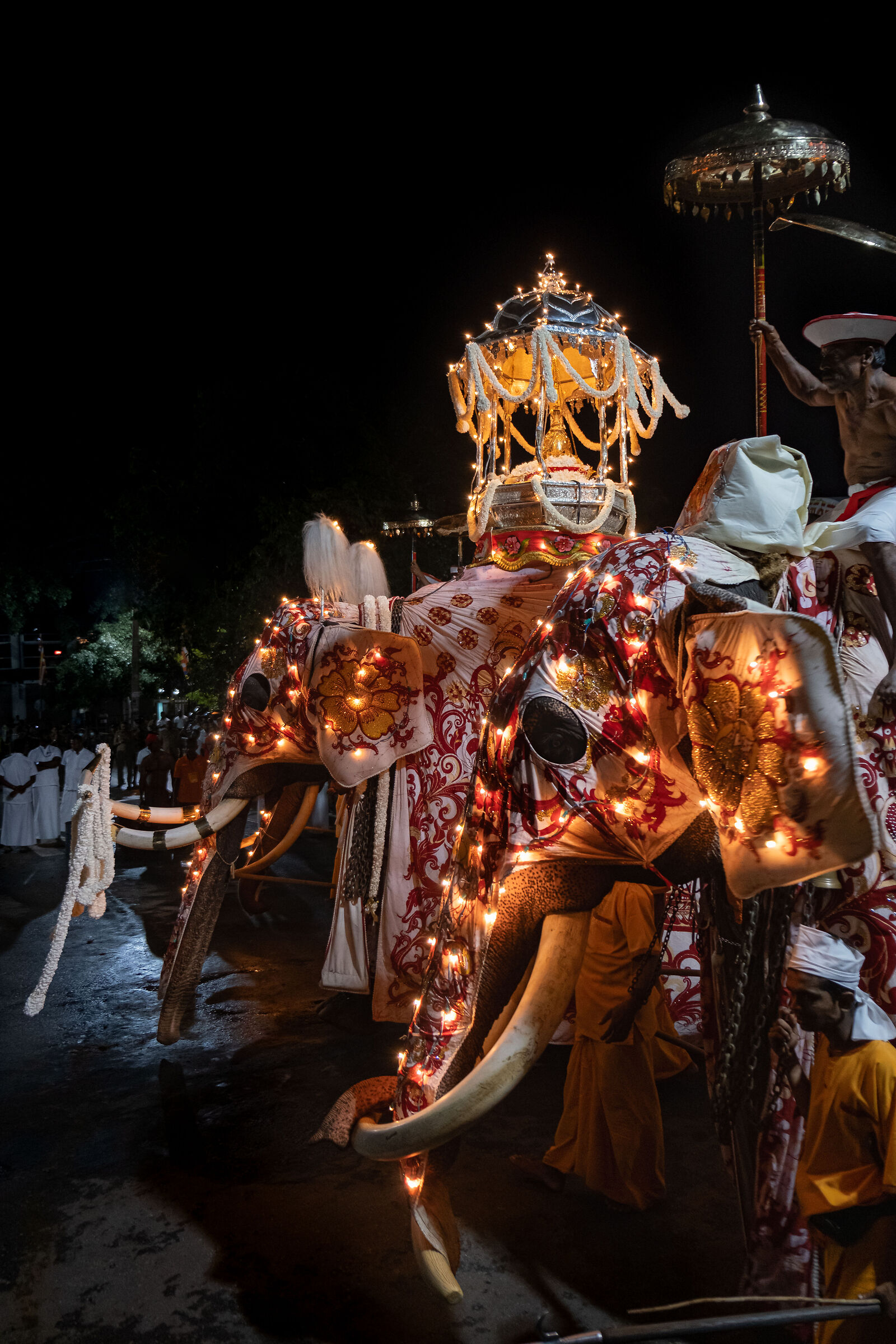 La reliquia del sacro dente di Buddha