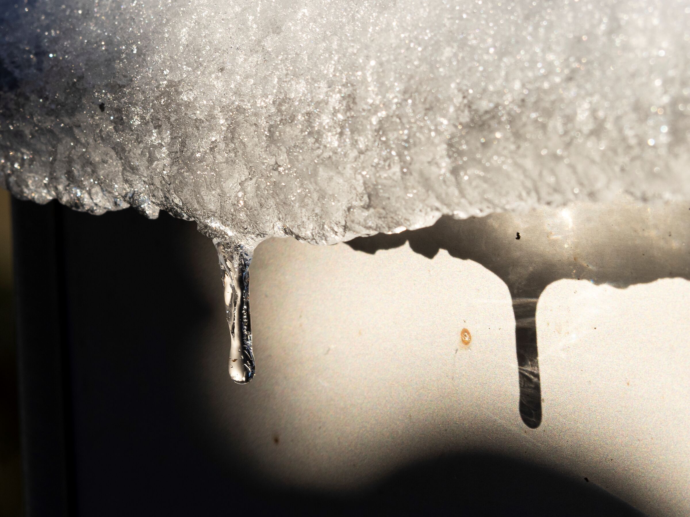 la nevicata del 22 novembre 2024