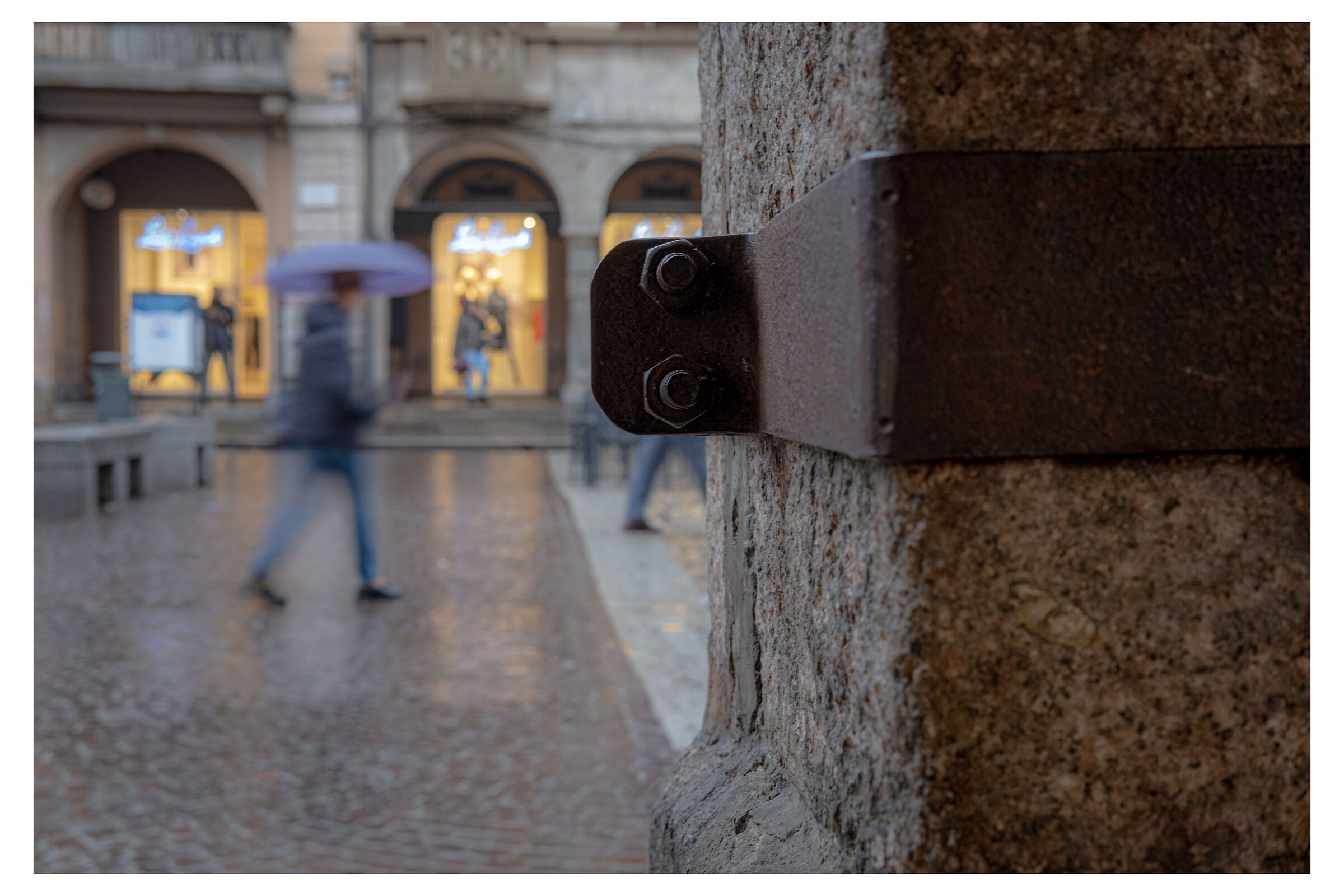 Pavia