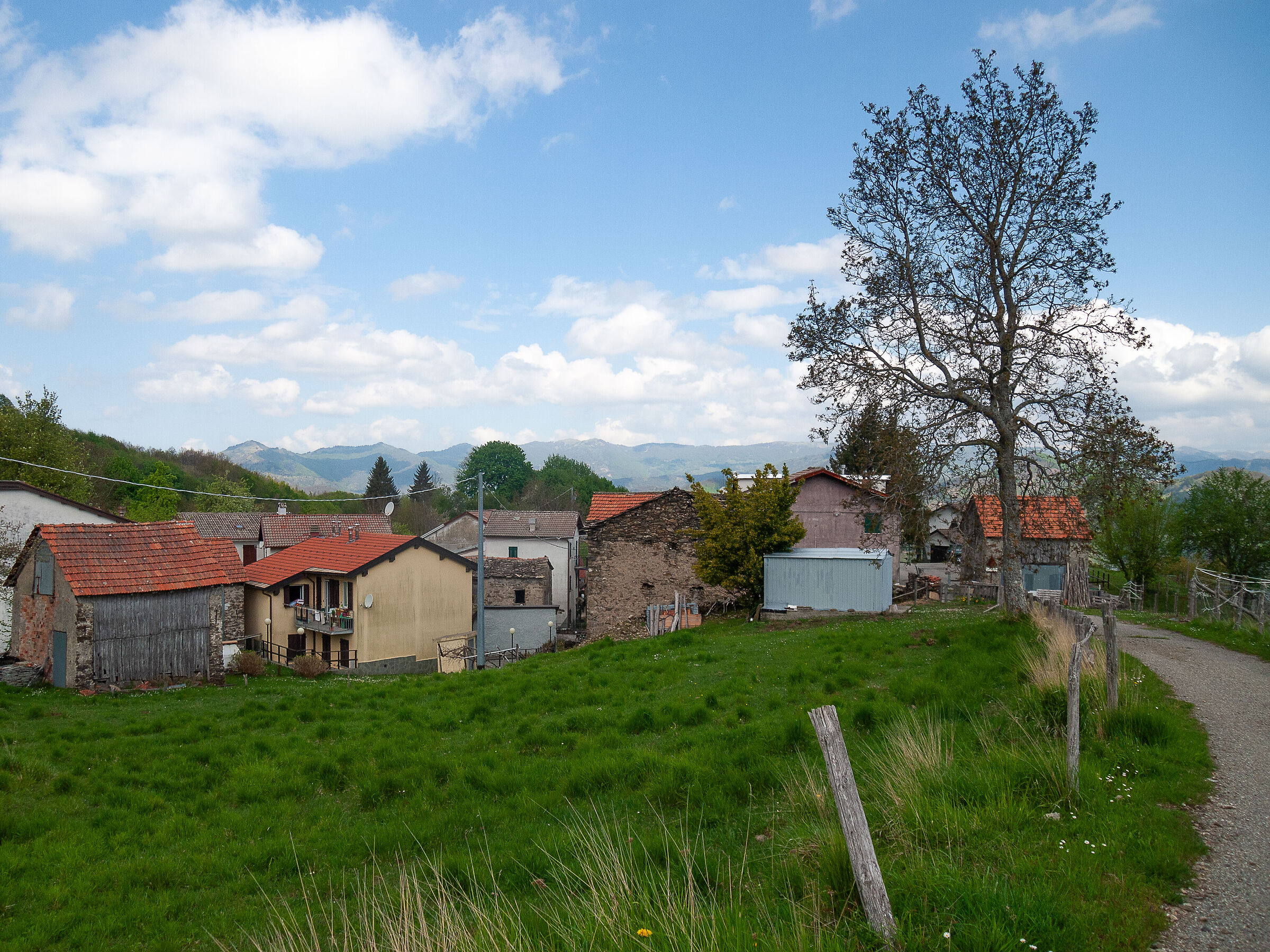 Tartogni, a hamlet of Montebruno