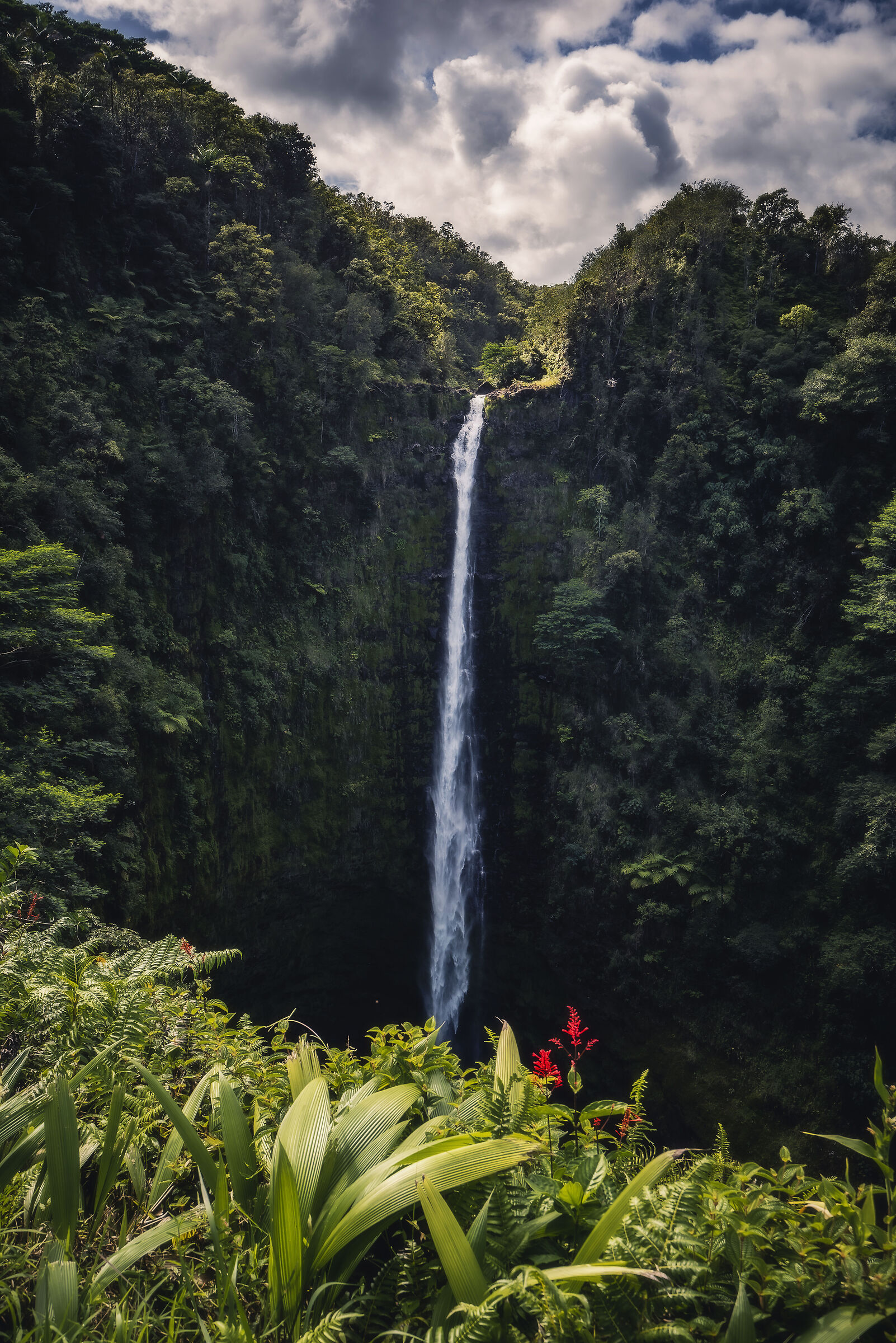 Akaka falls