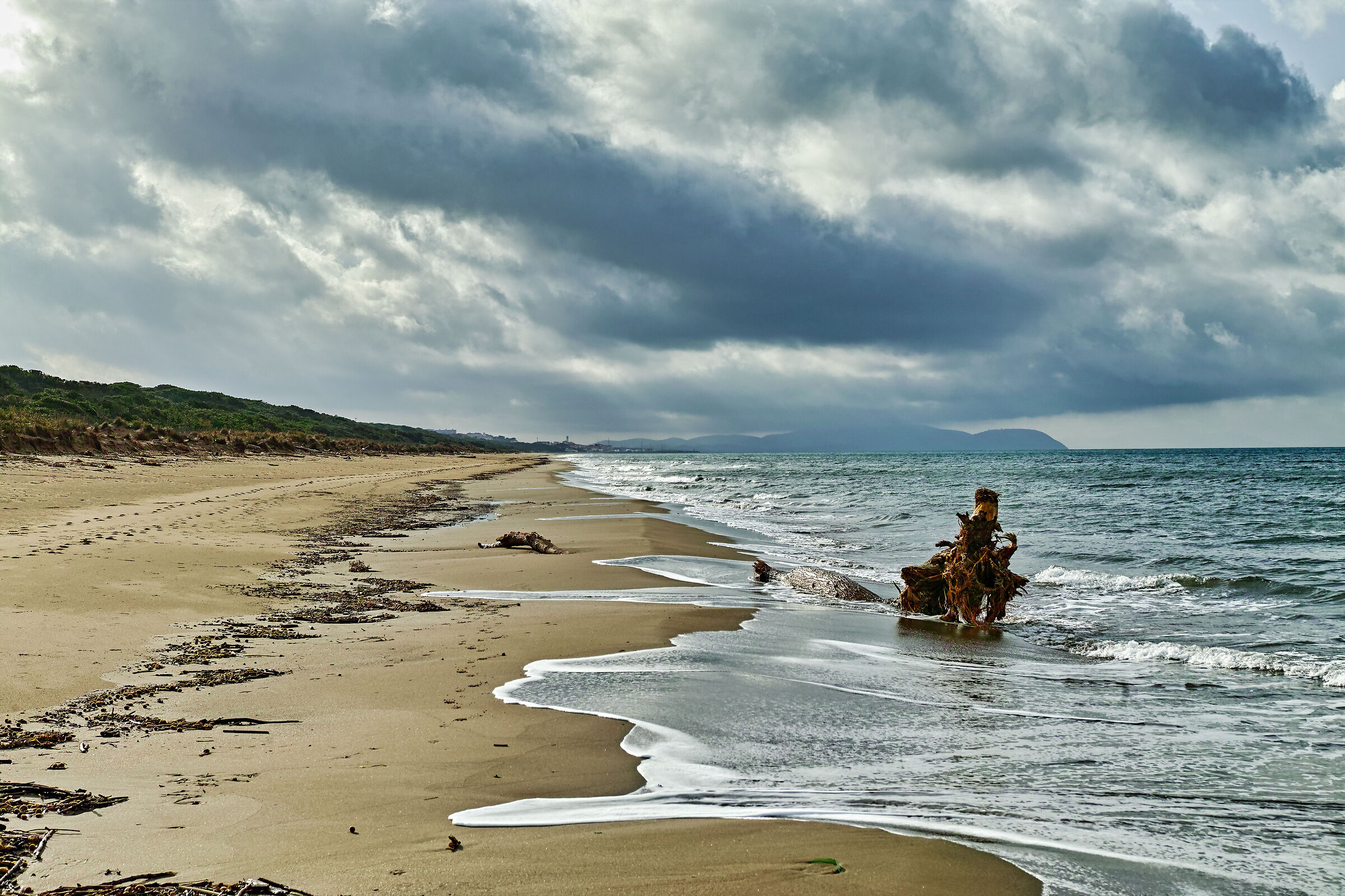 Marina di Donoratico Nov.24