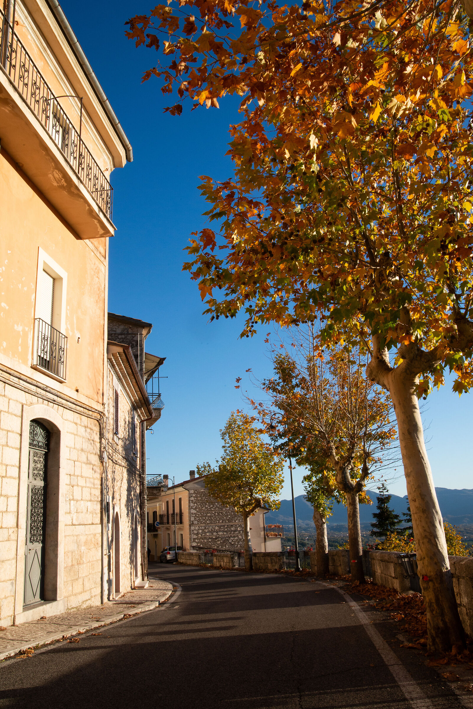 La bellezza dell'autunno