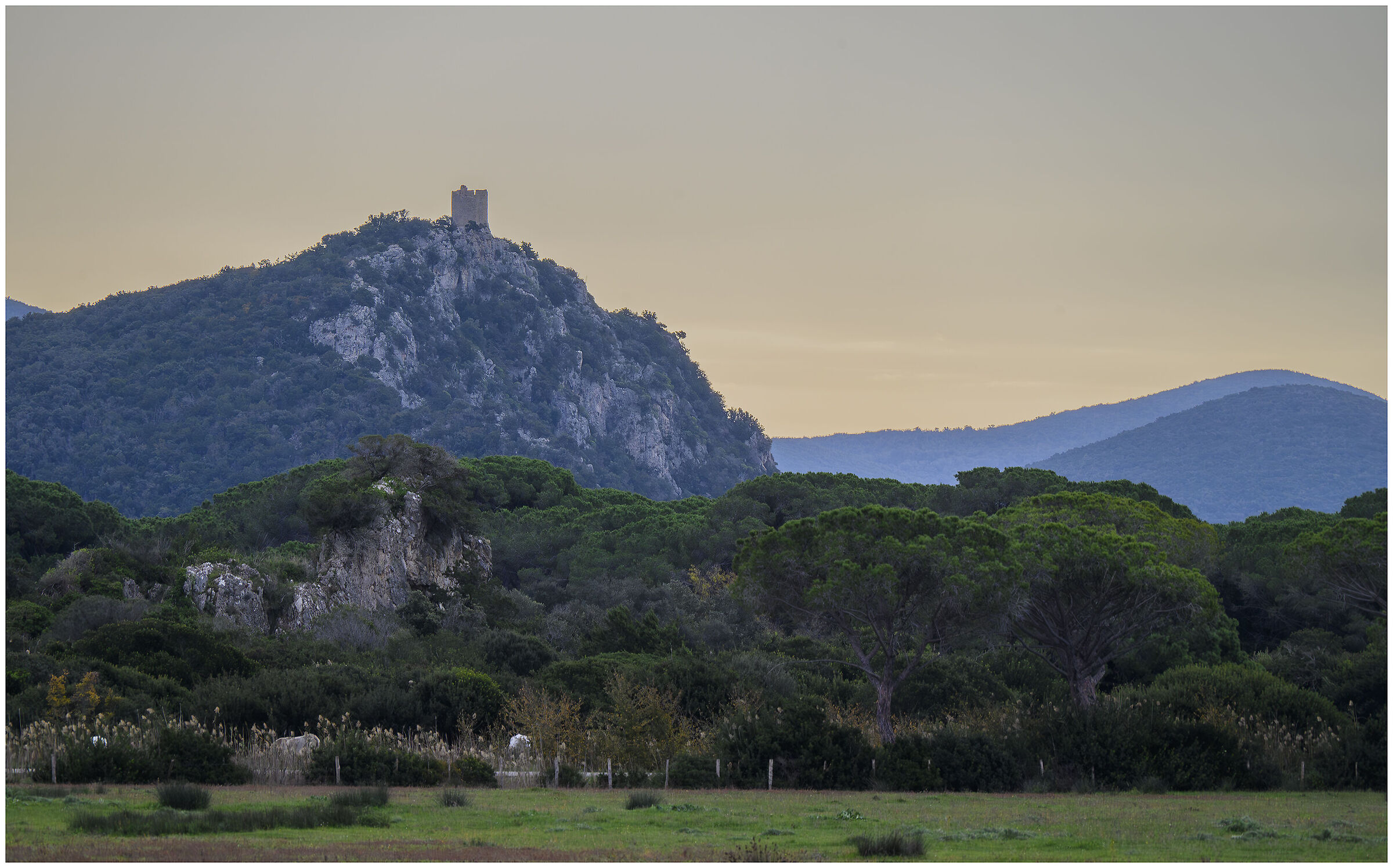 Torre d'avvistamento