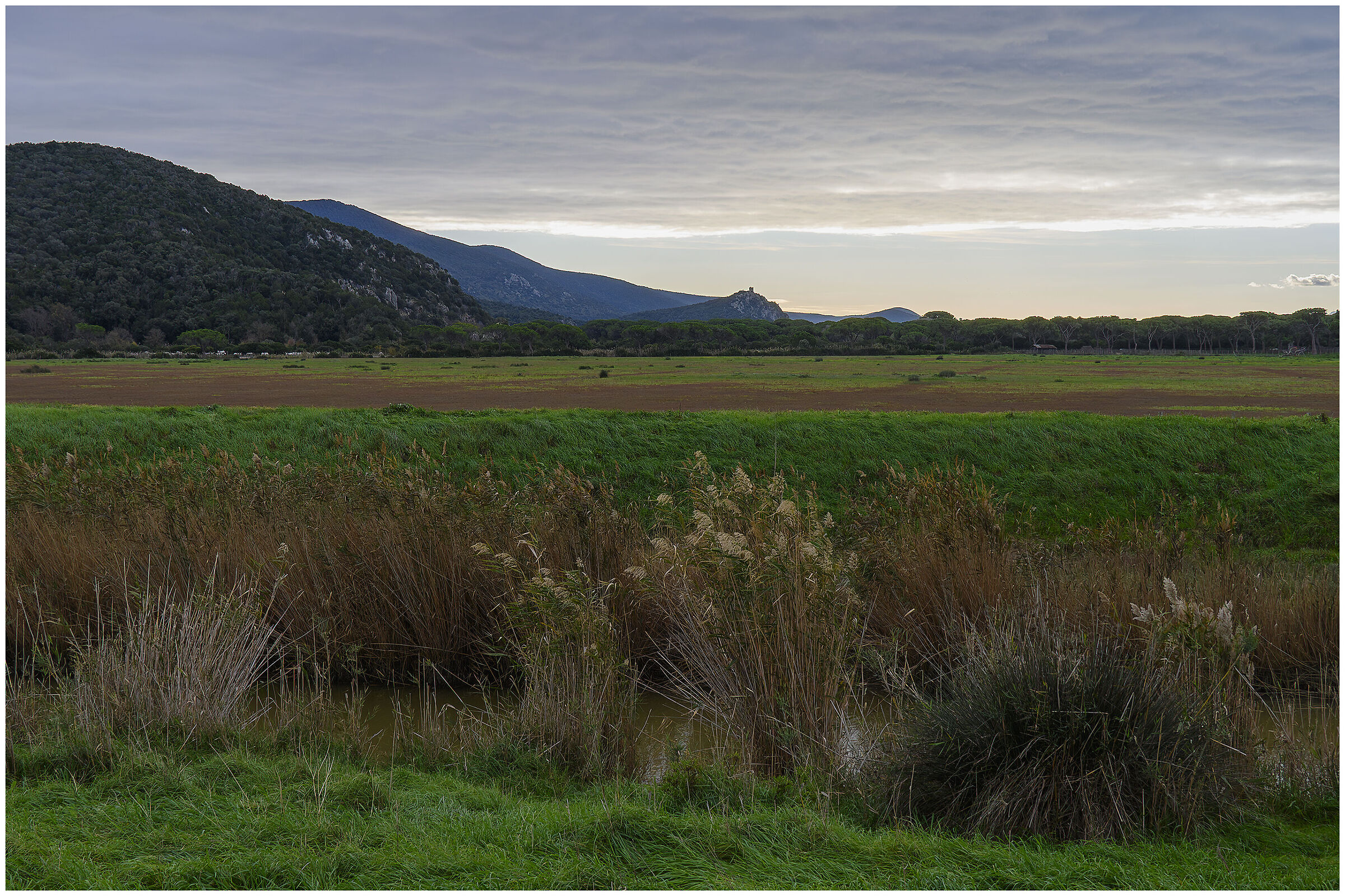 Vista del Parco