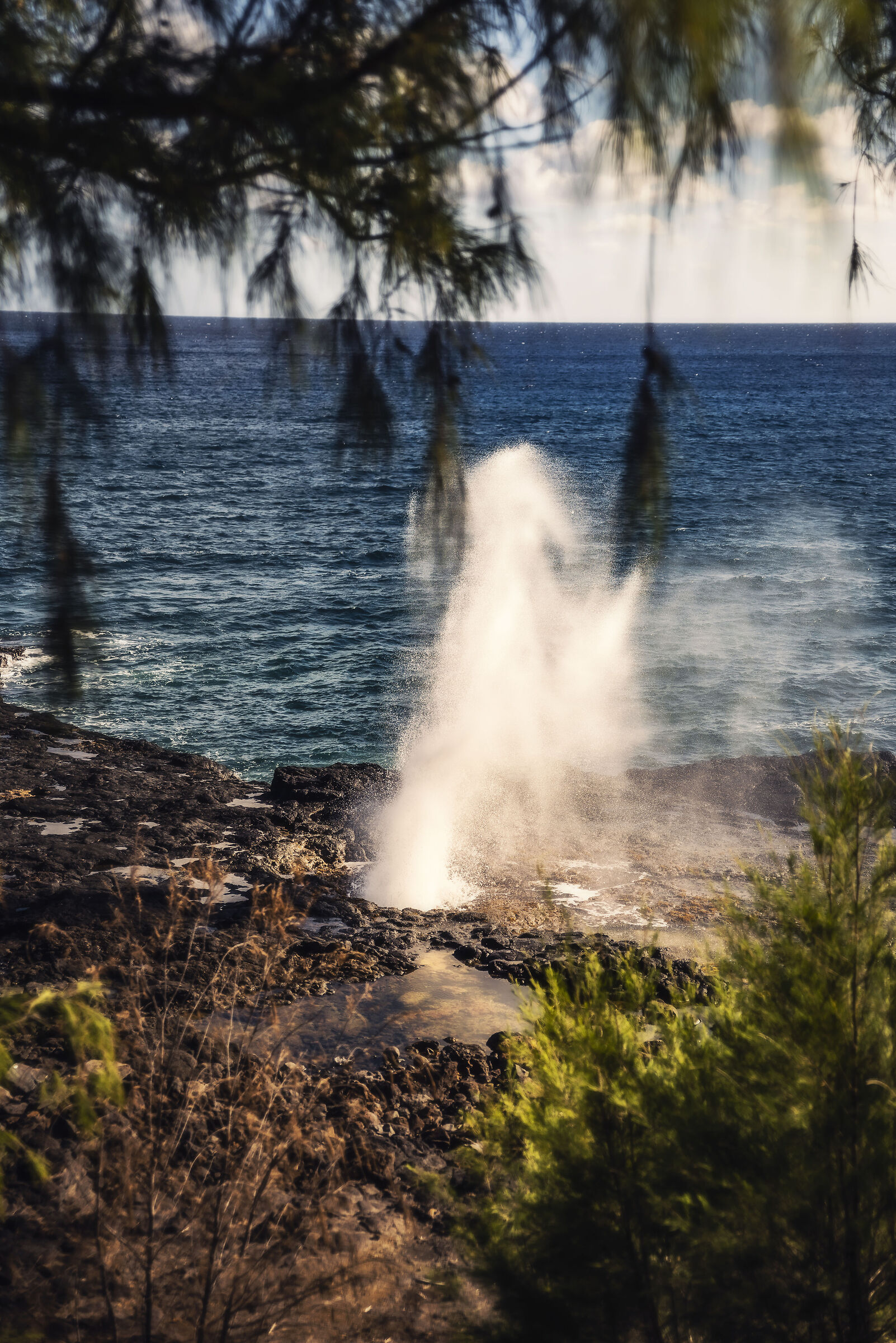 Hawaiian Geyser