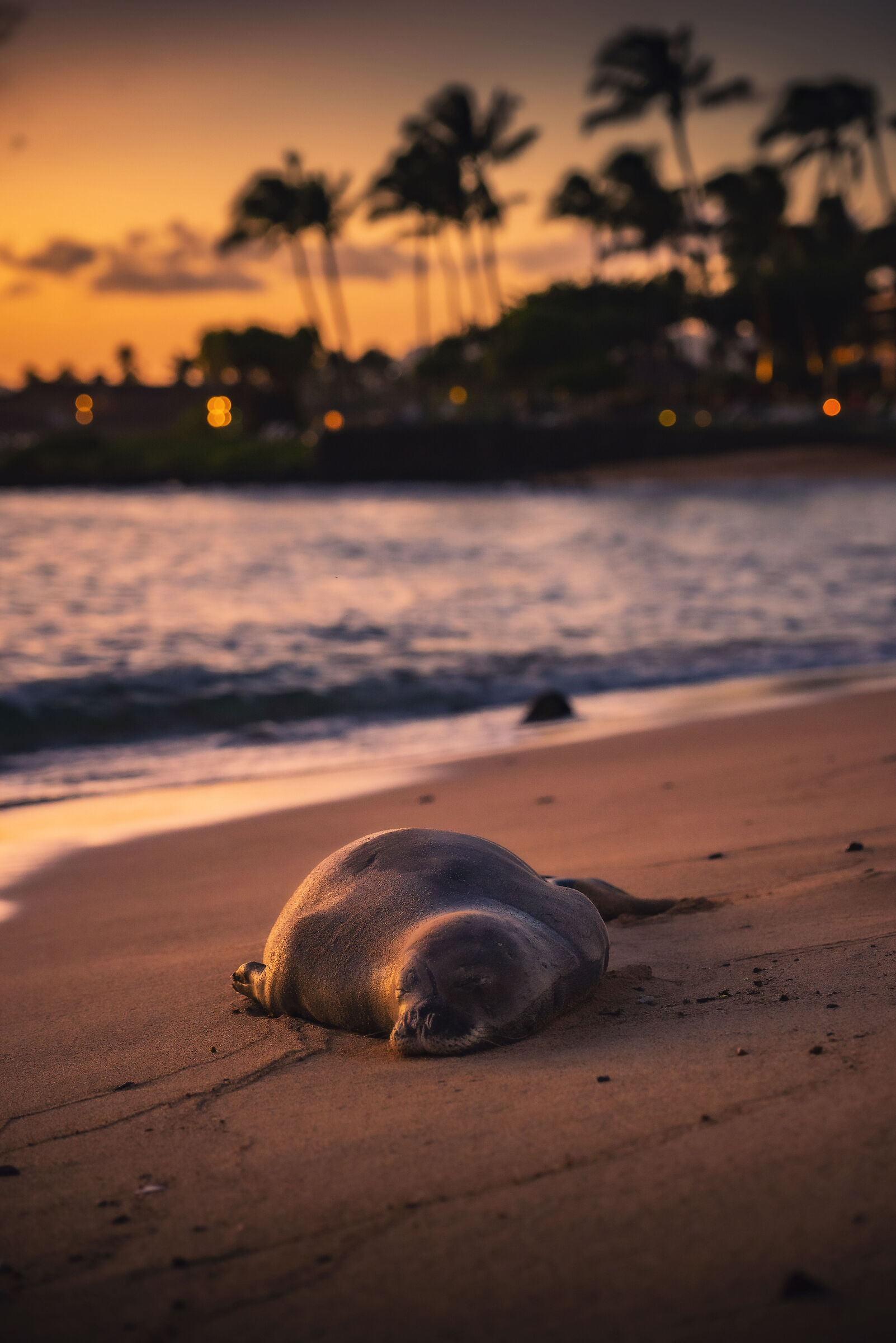 A Postcard from Poipu Beach - Hawaii
