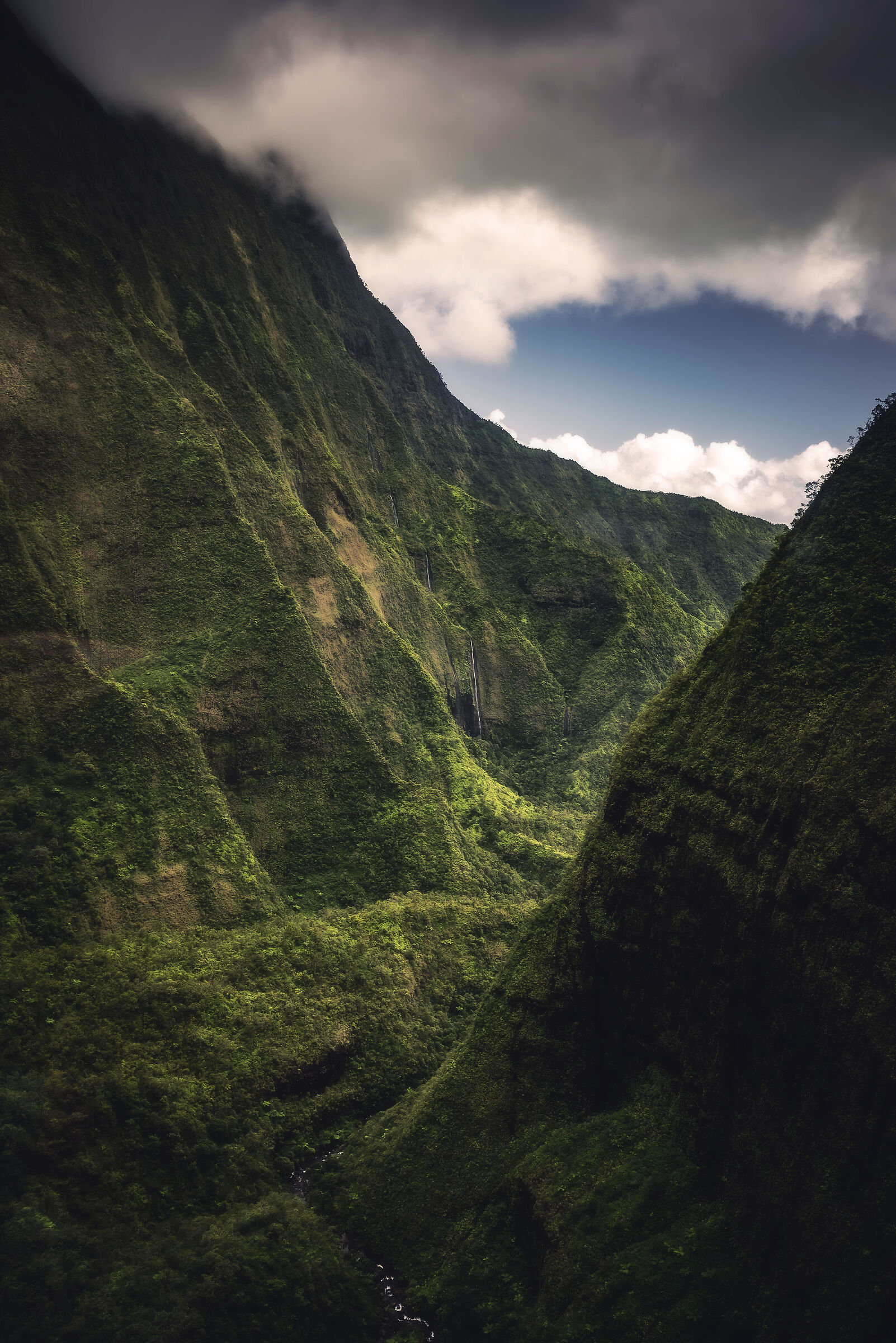 In the Hawaiian nature of Kauai