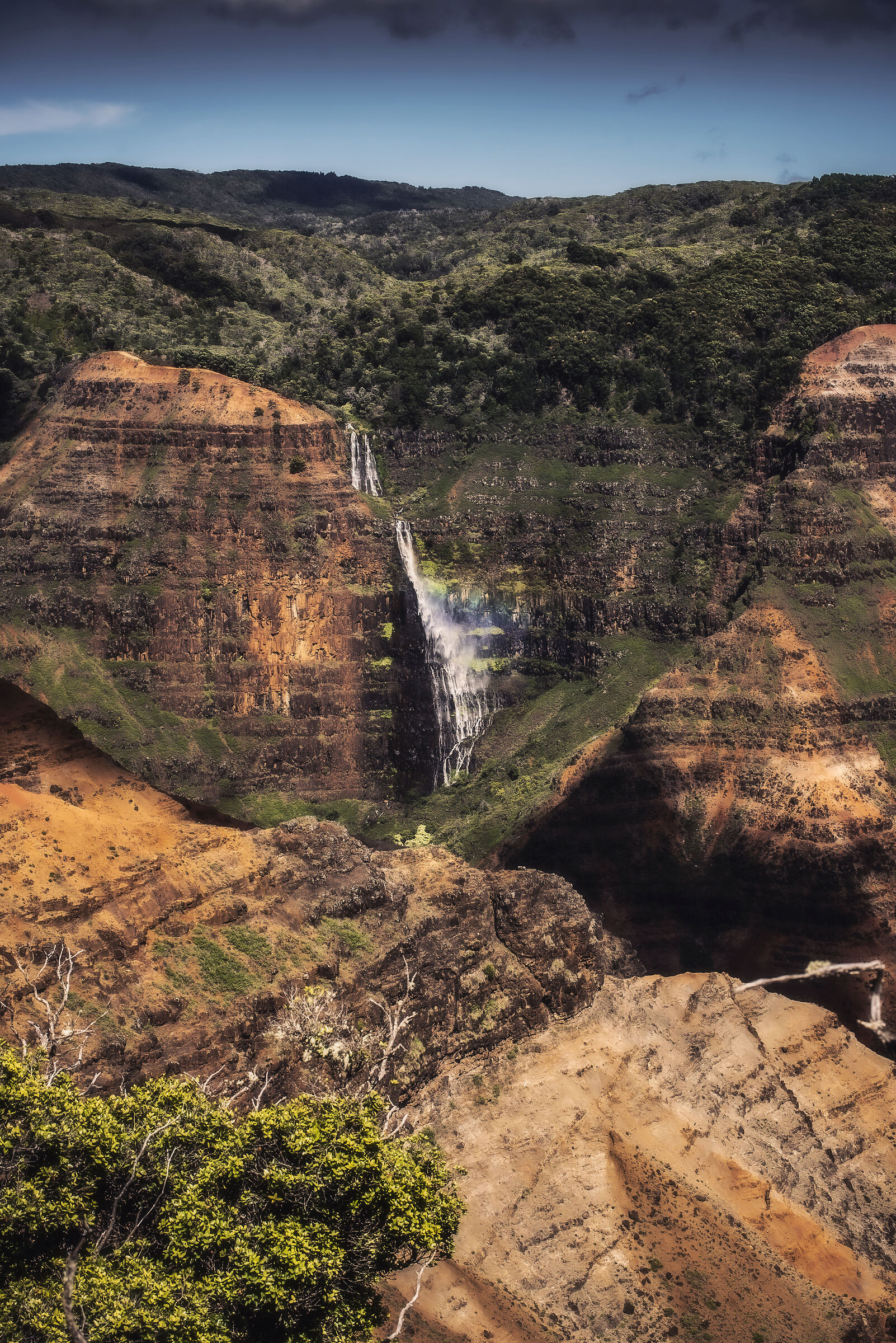 Waimea Canyon - Hawaii