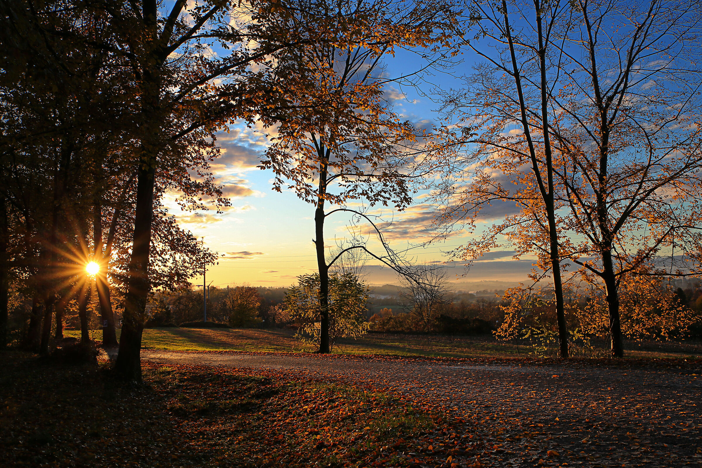 A little autumn is needed