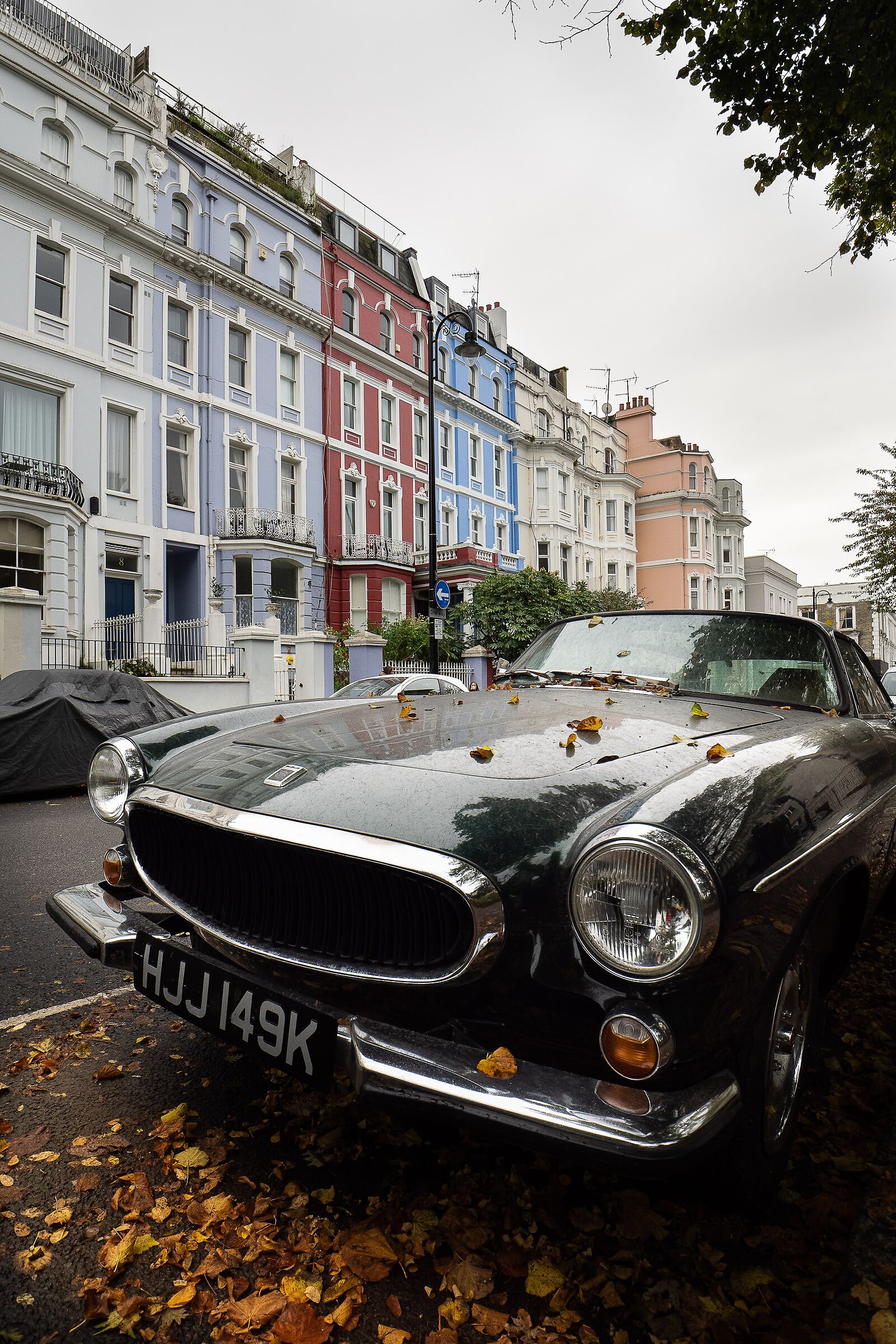 Foliage a Notting Hill