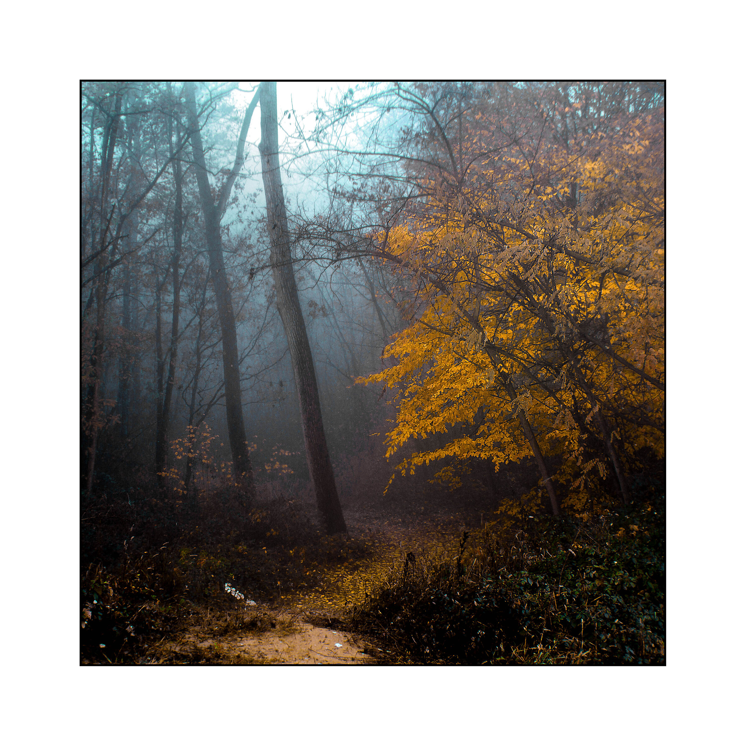 Fall