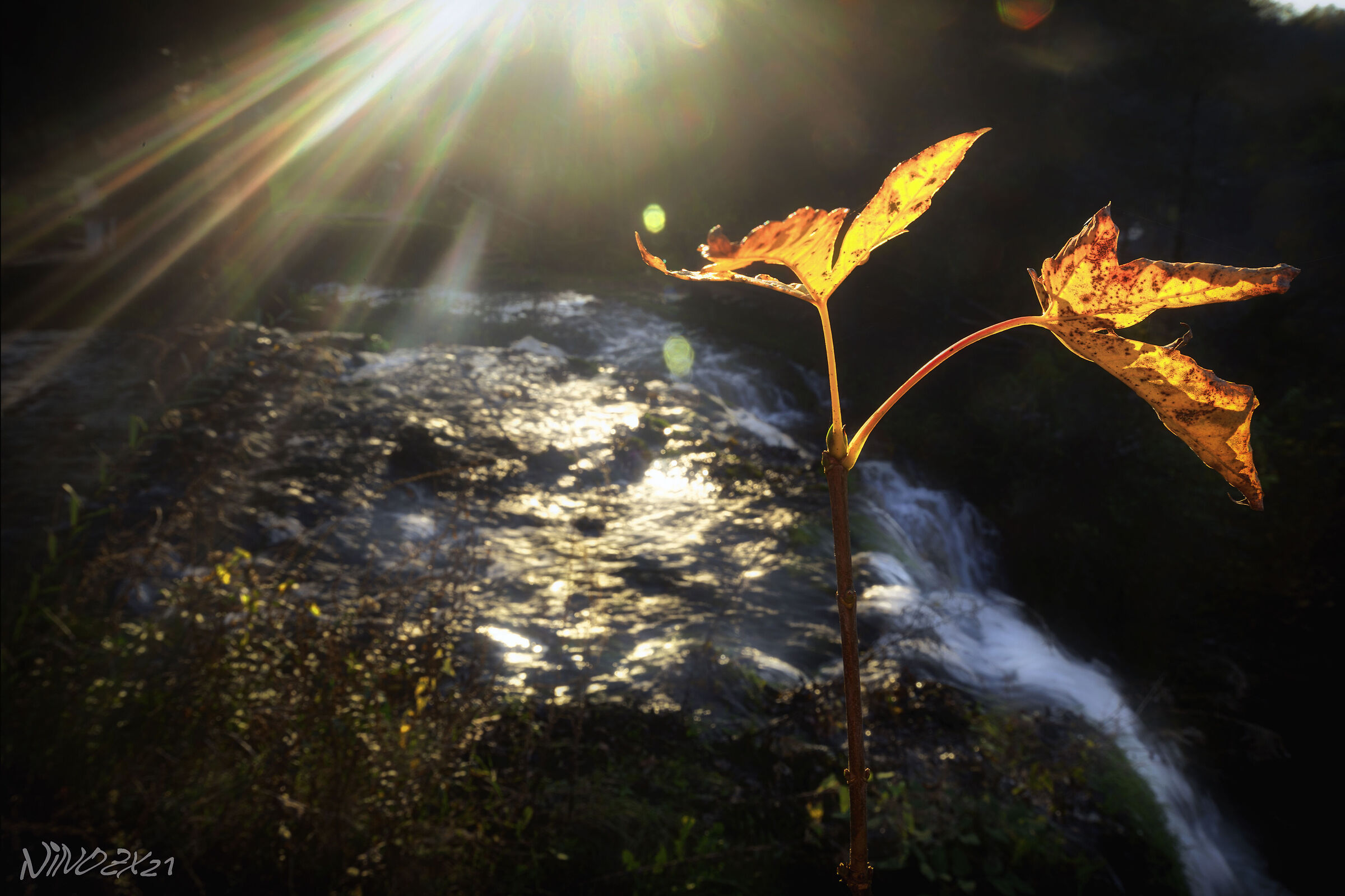 The Last Sun