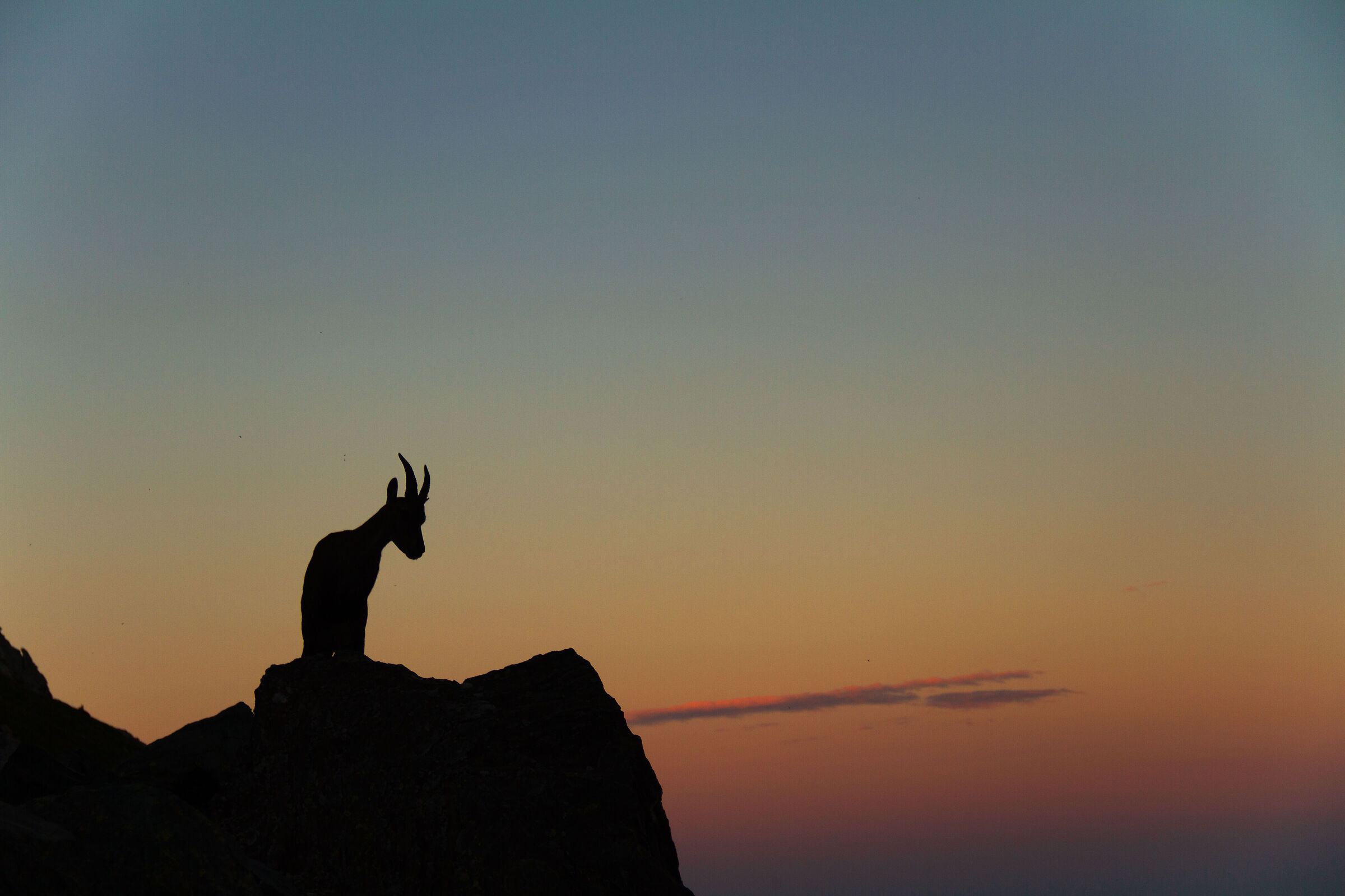 Ultimo scatto al tramonto