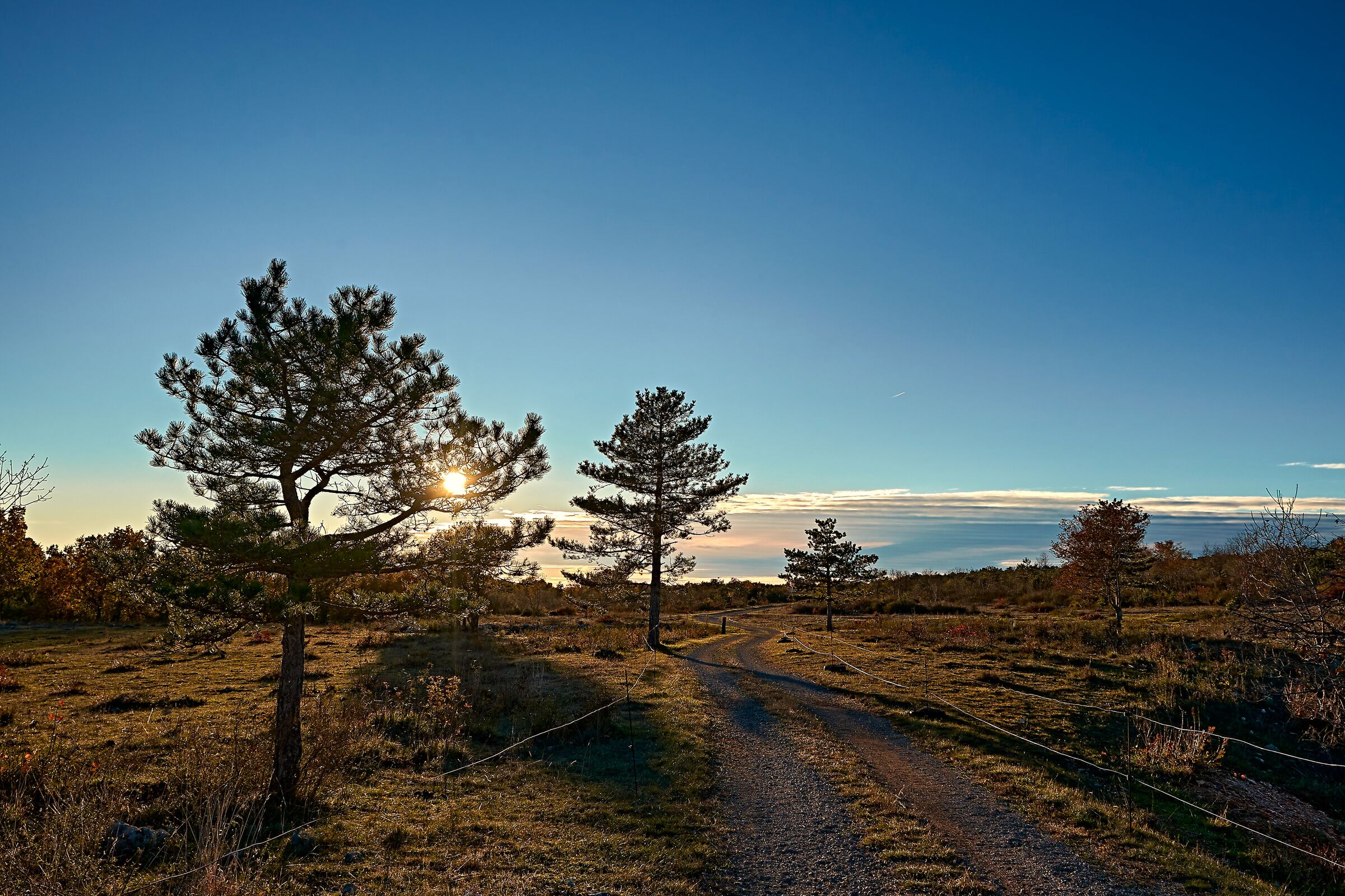 Sentiero tra Beka e Socerb sopra Domio (ts)