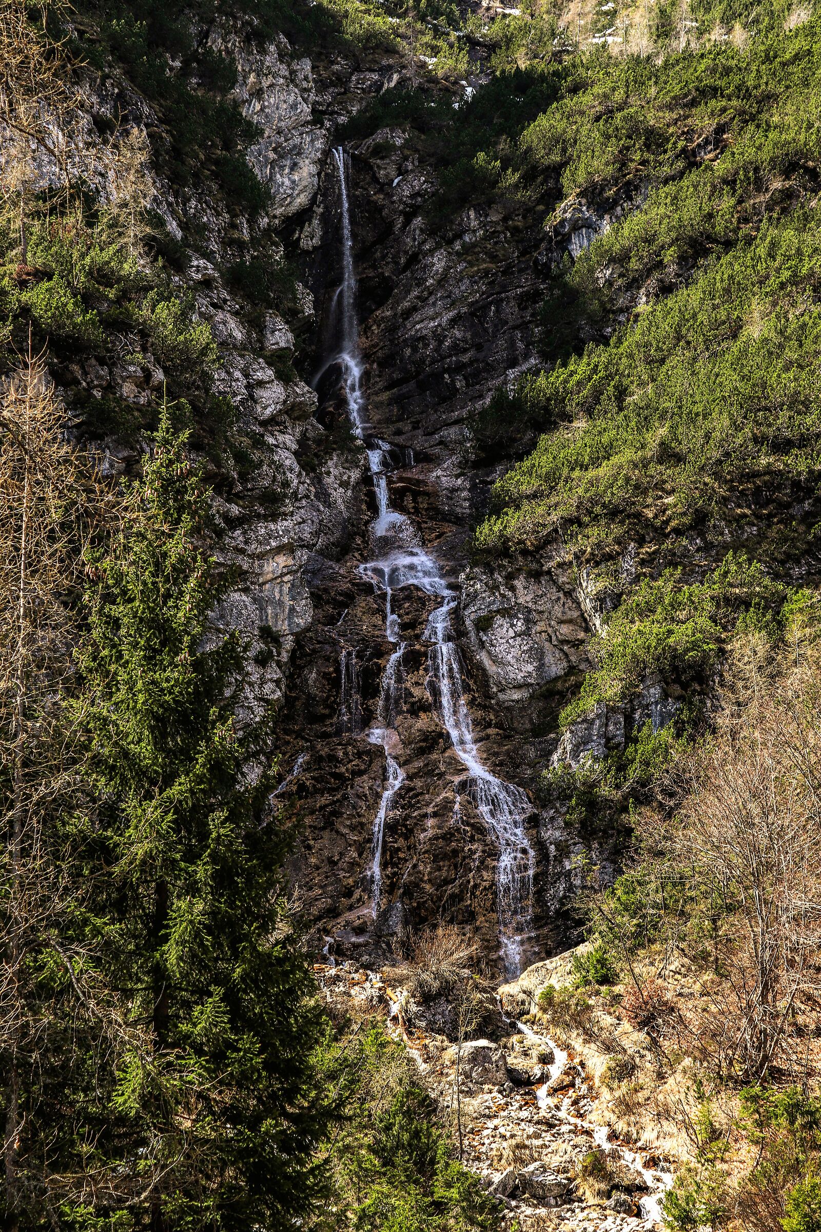 Untitled Photo