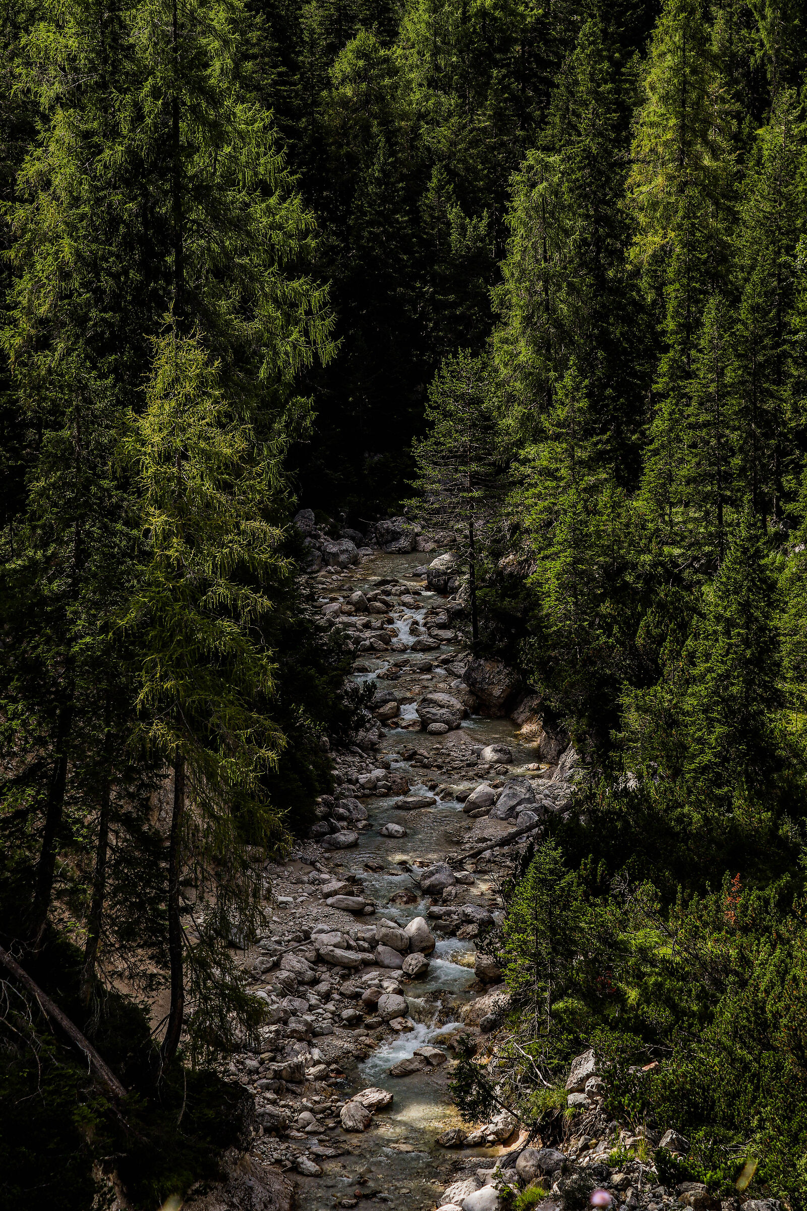 Untitled Photo