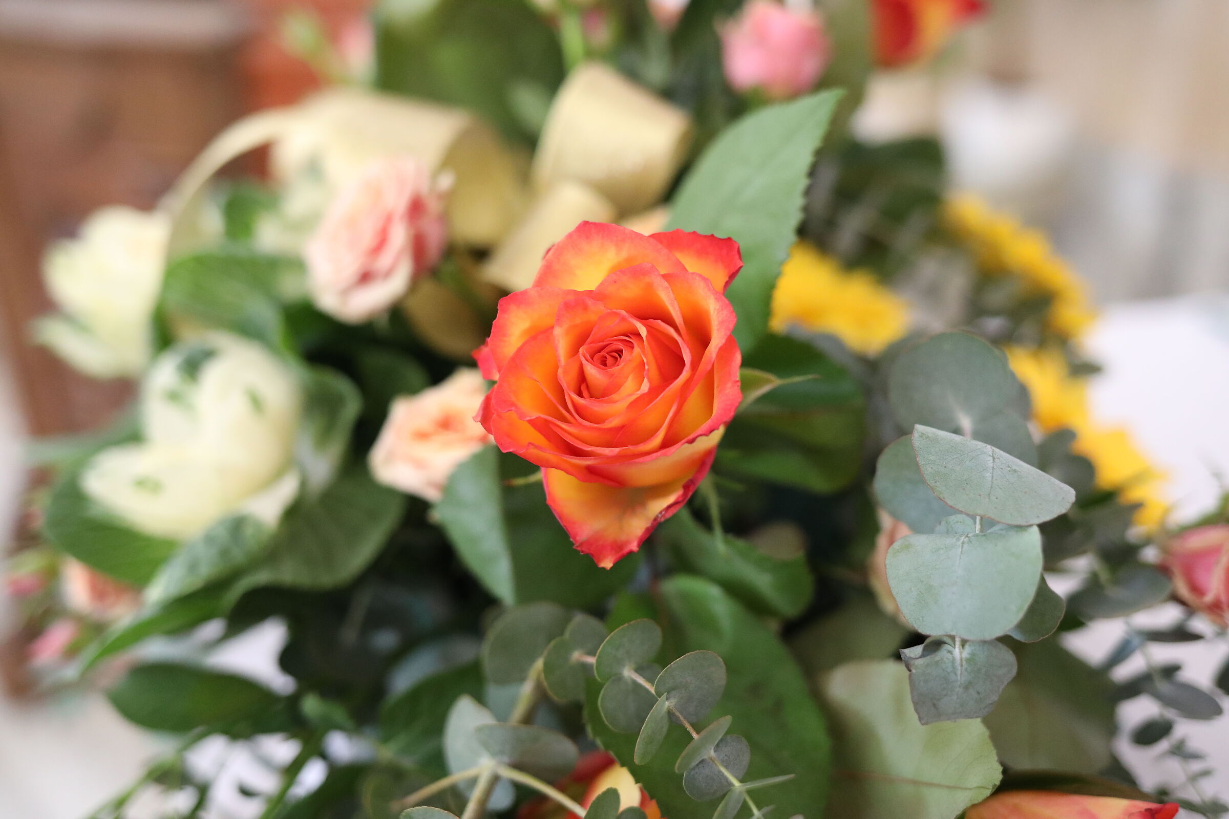 Ei, @ " ISO 6 Mila 400 " Canon 5 D IV, 35, F. 2 IS...