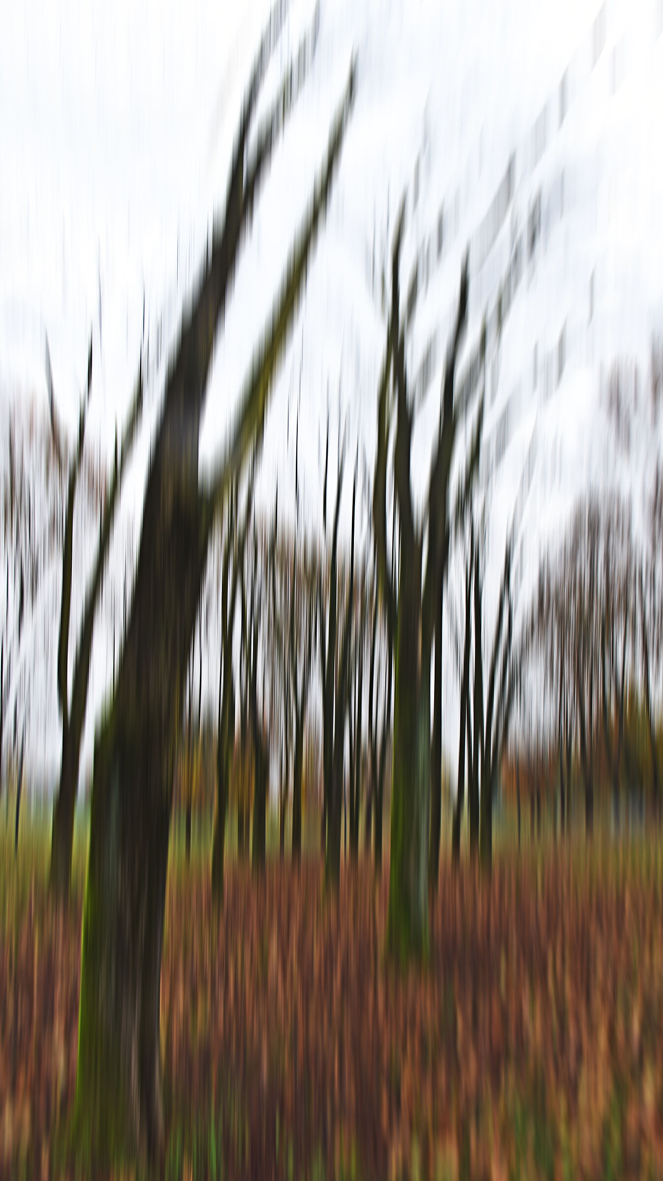 effetto Munch