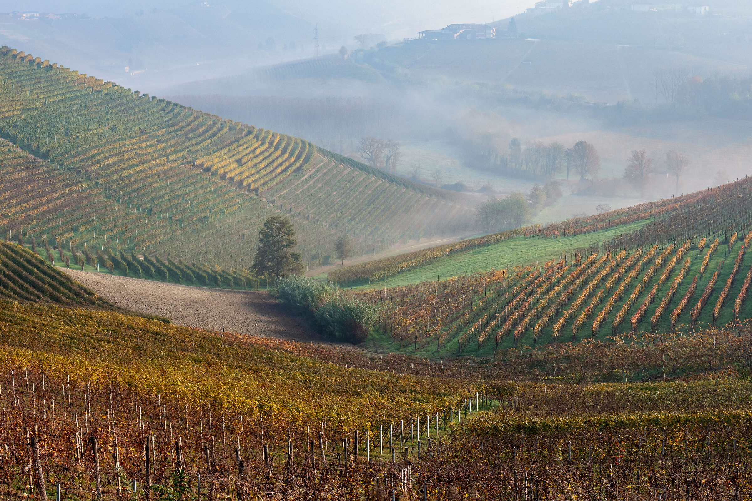 autunno nelle langhe