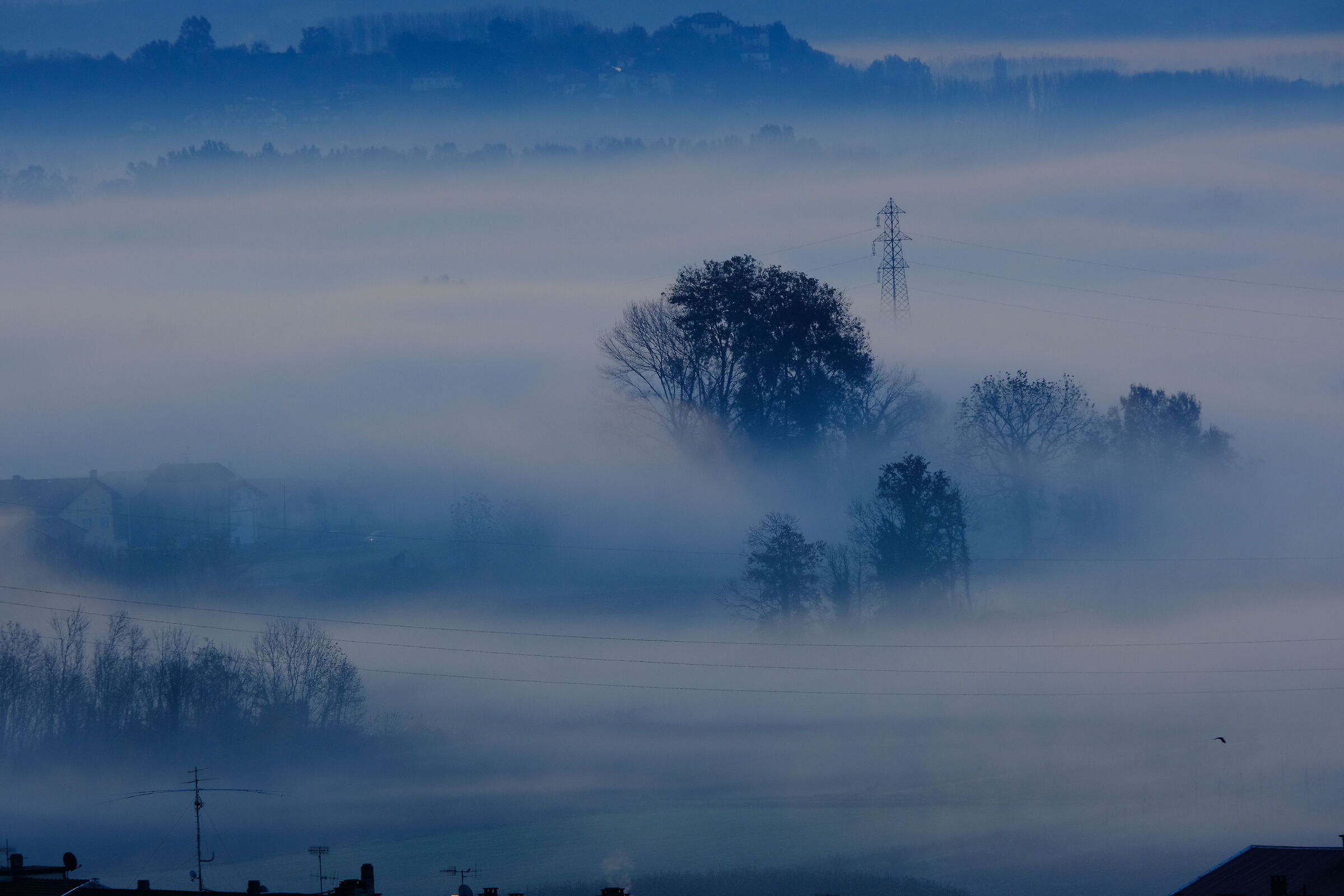 Morning Mist