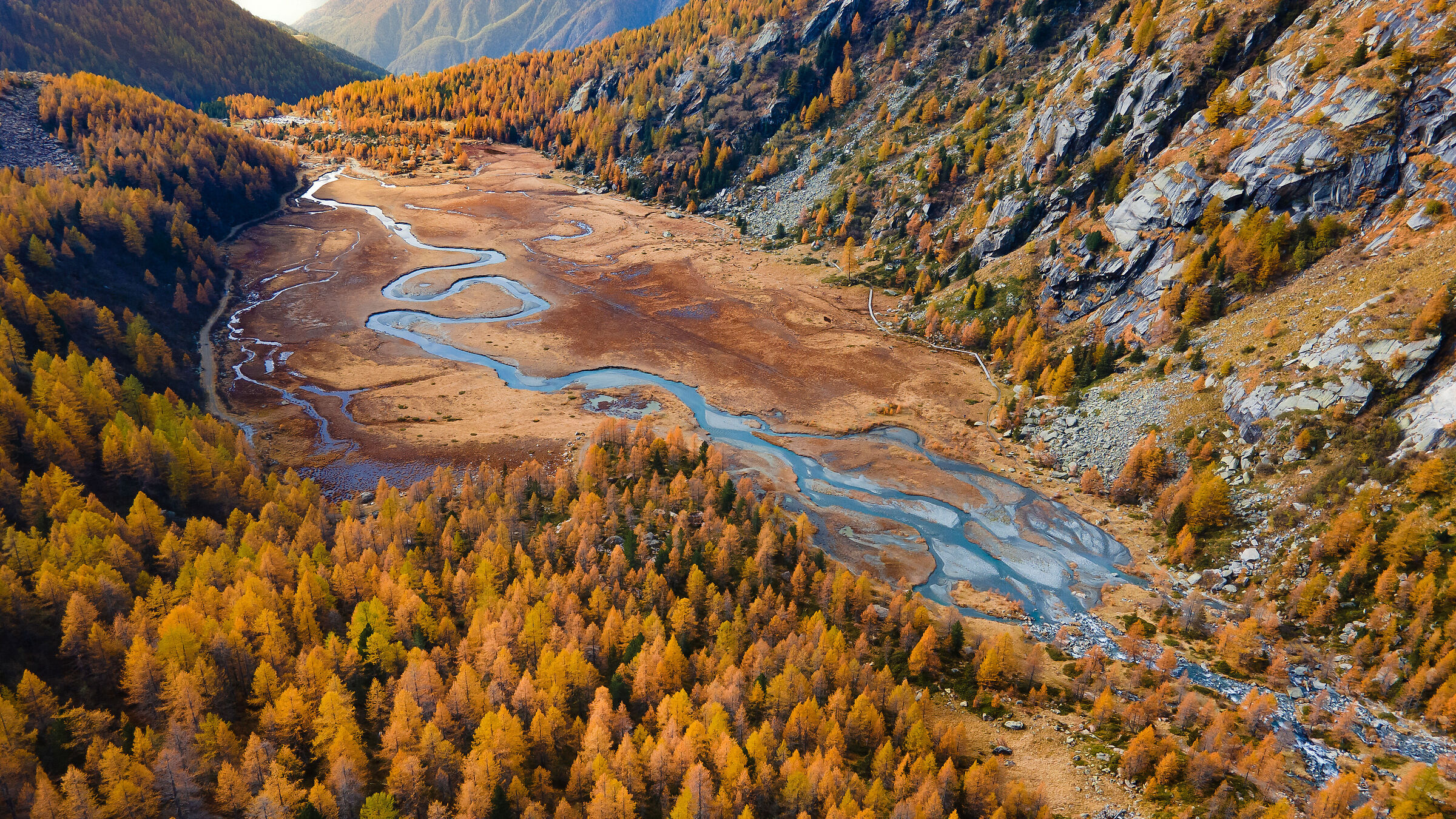 Autumnscape