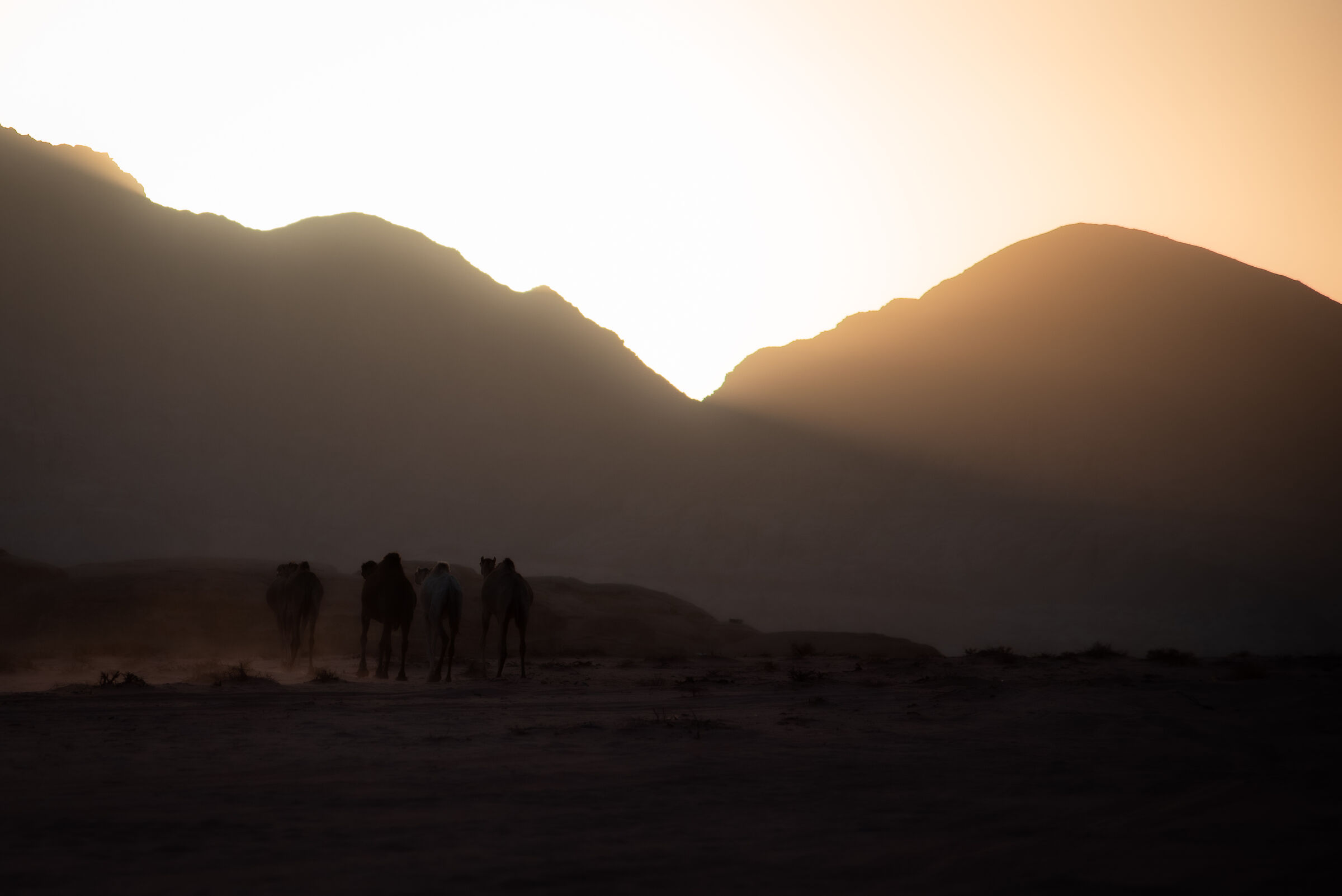 Sunrise in wadi rum