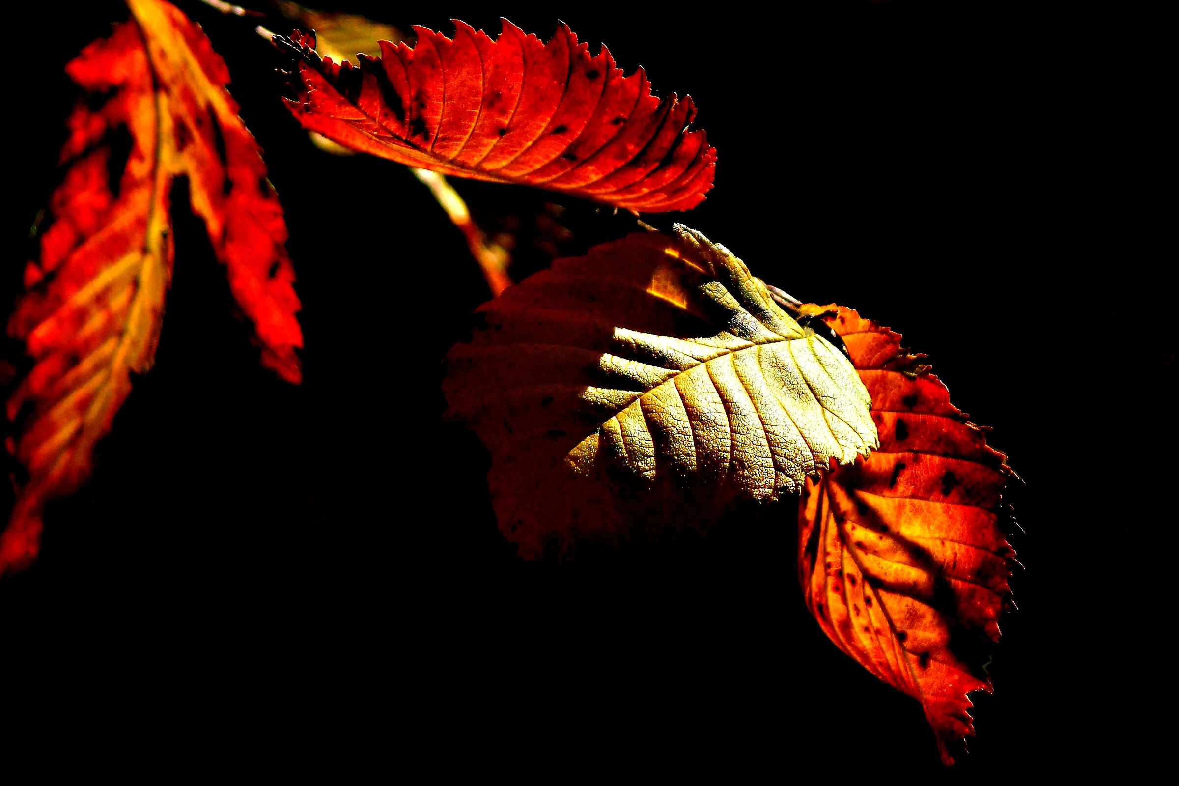 Untitled Photo