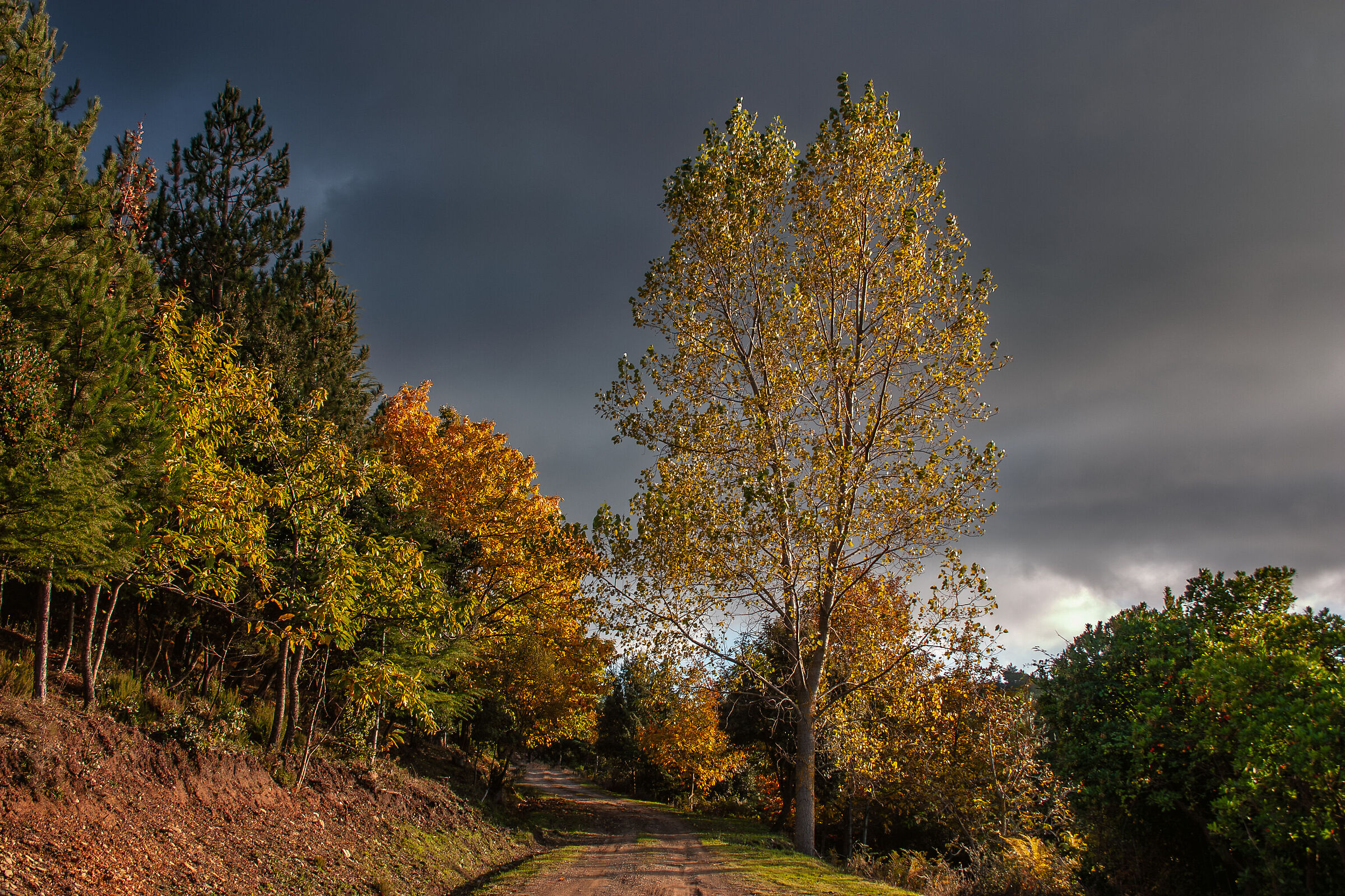 Una sera d'autunno di 20 anni fa