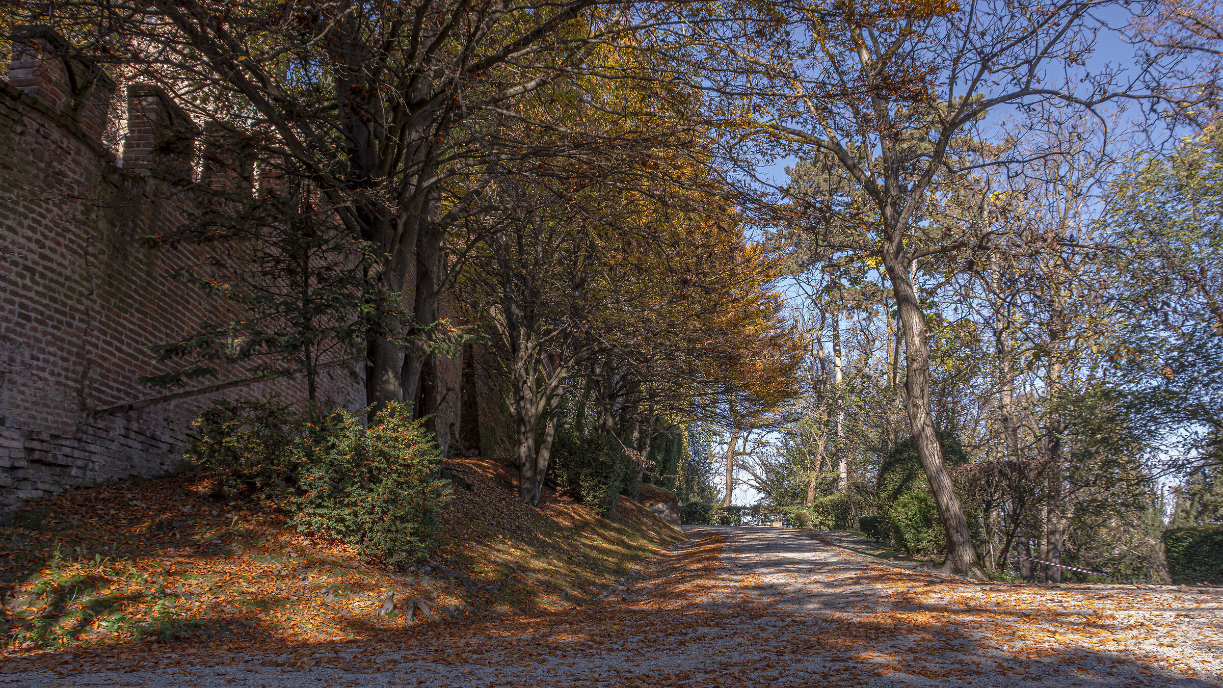 All'ombra dei faggeto