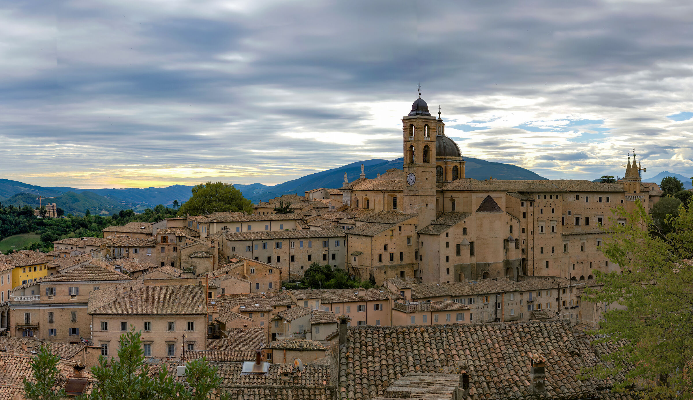 Urbino