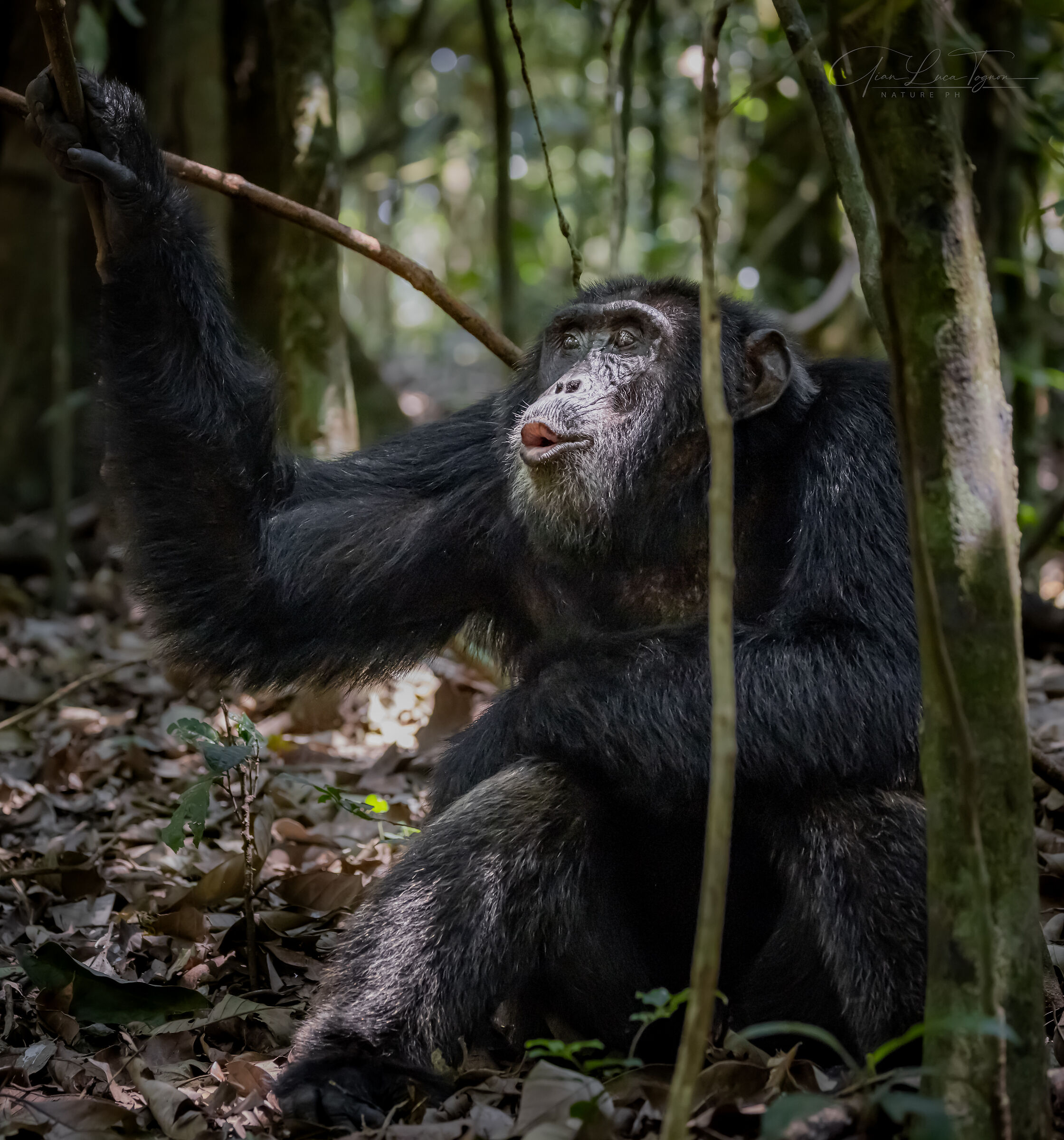 a kiss is just a kiss