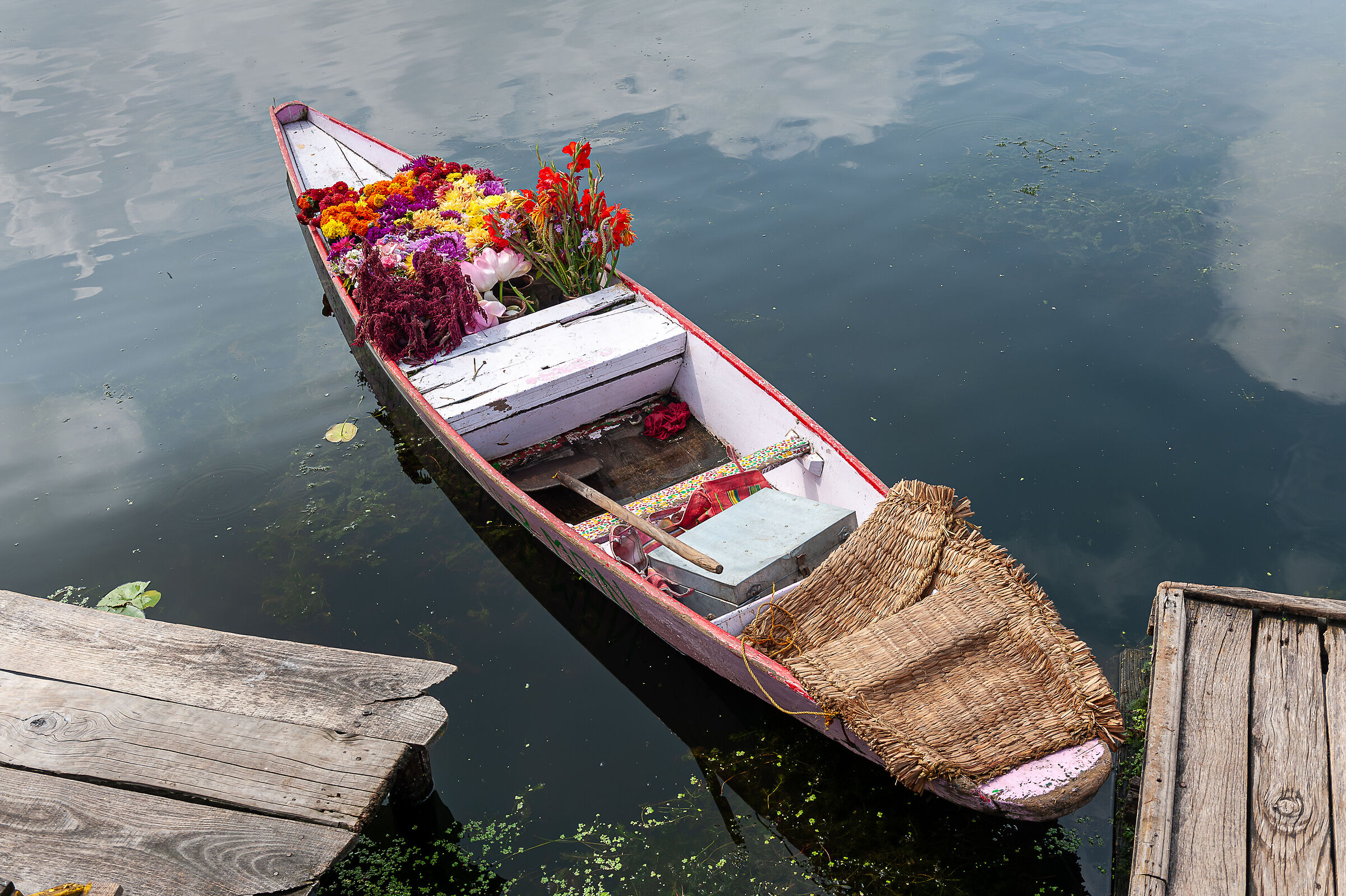 Il fioraio del lago