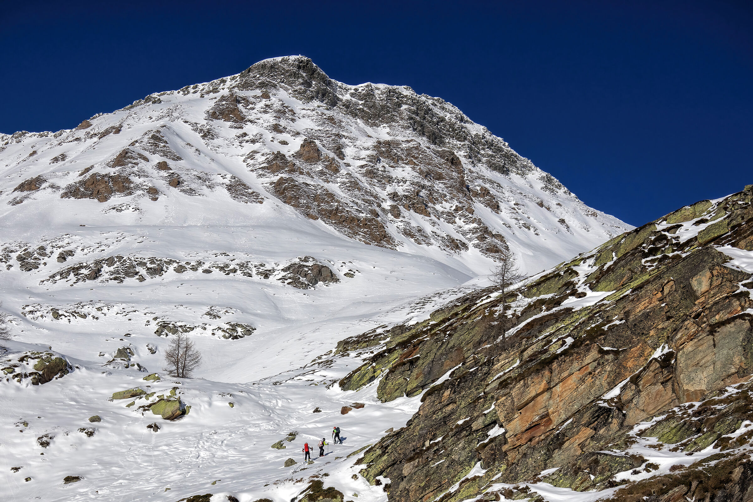 skialp